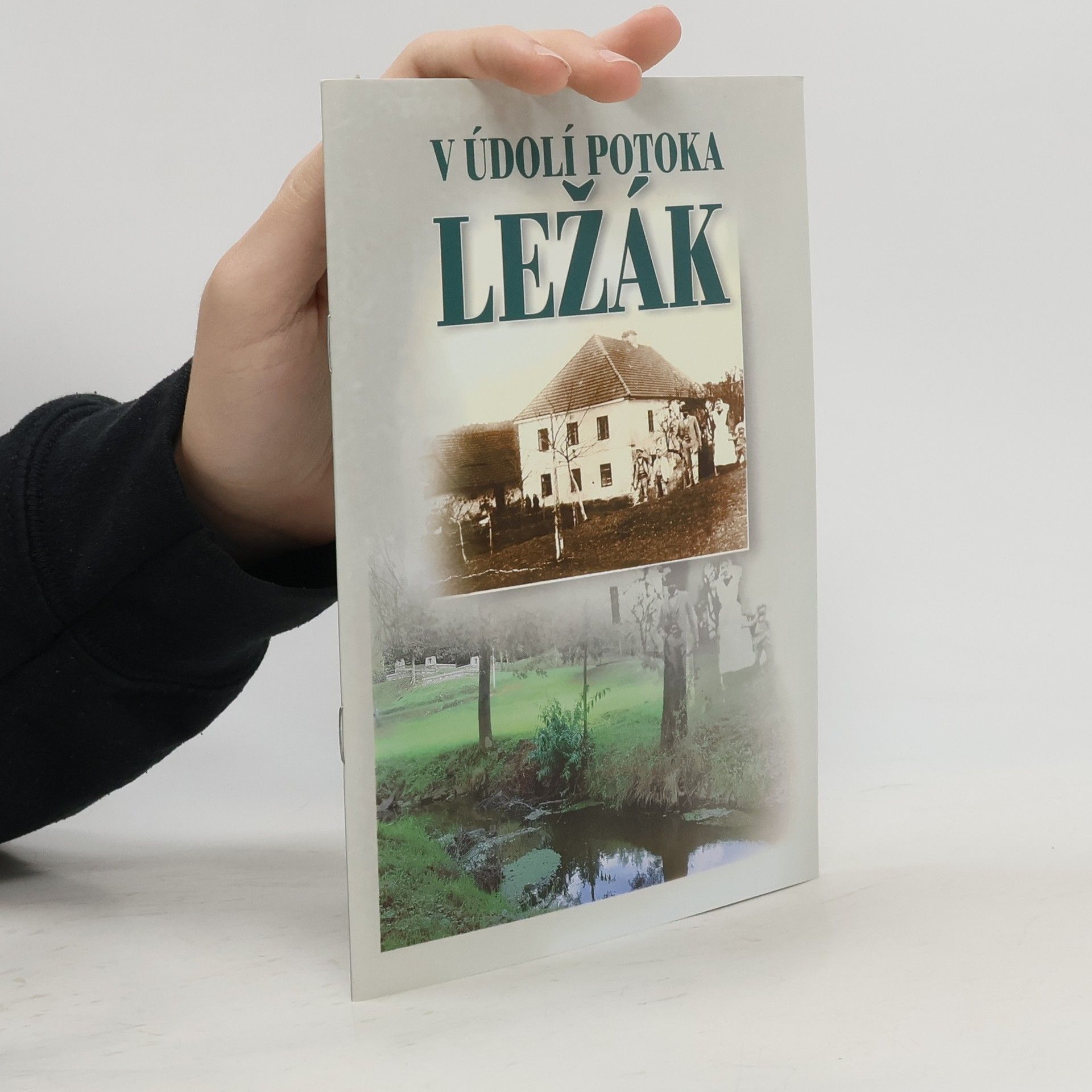 Přemysl Veverka V údolí potoka Ležák