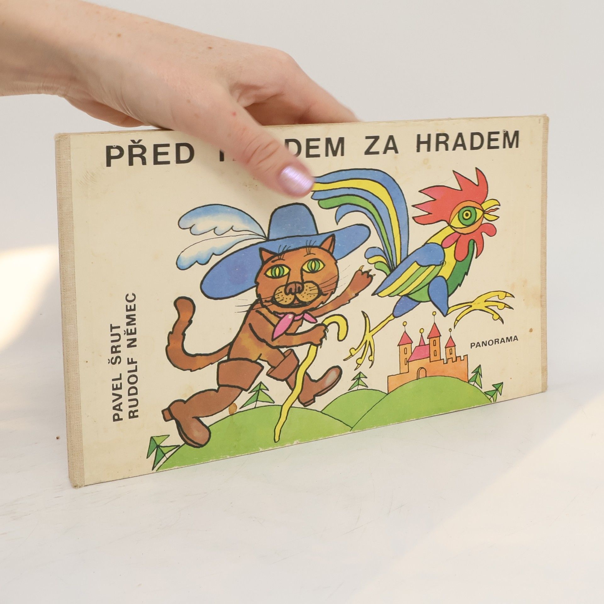 Pavel Šrut Před hradem za hradem