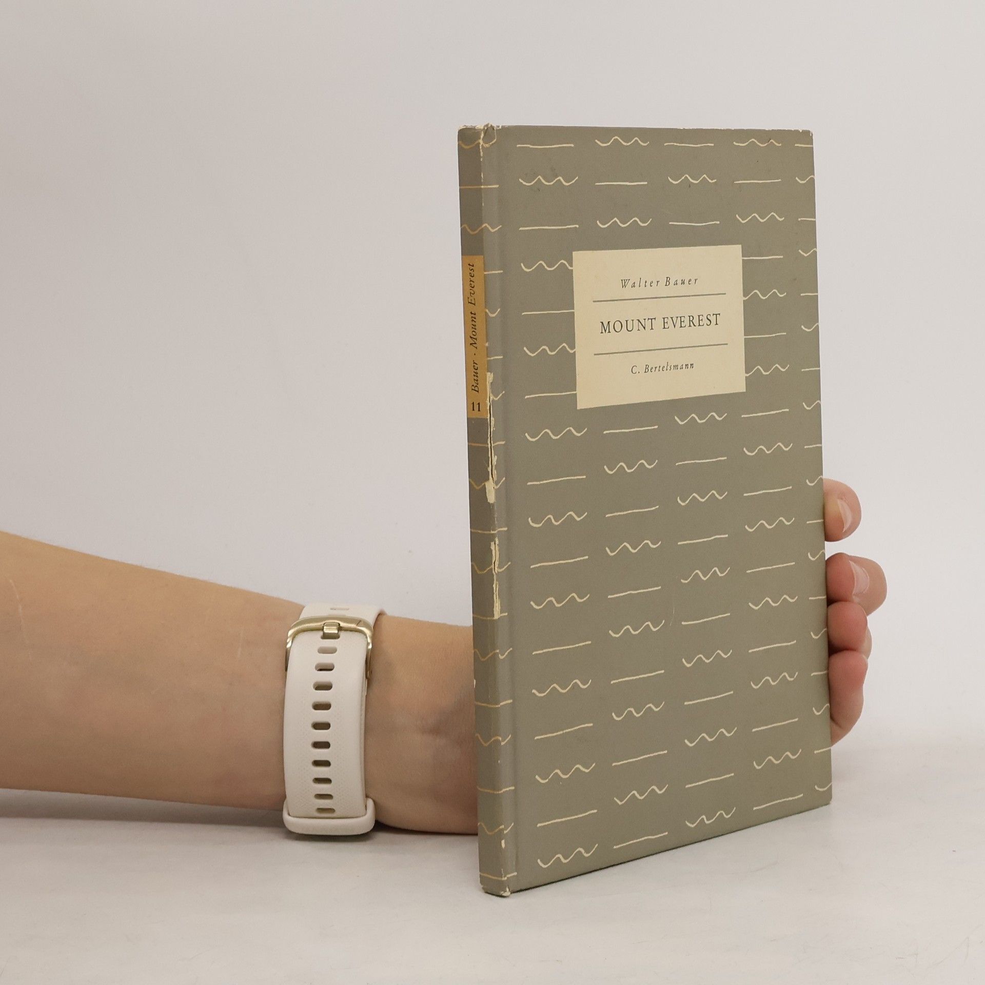 Walter Bauer-Wabnegg Mount Everest