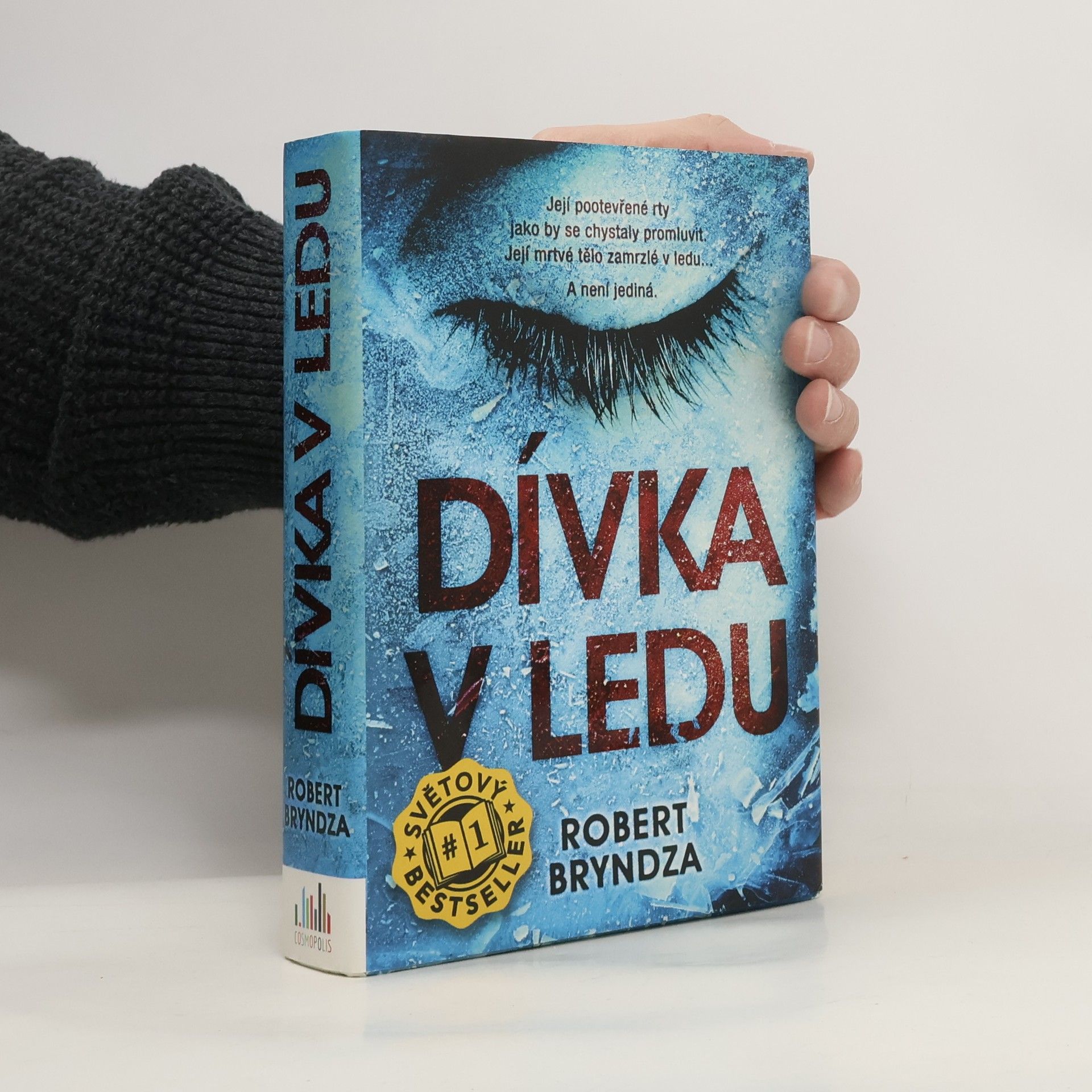 Robert Bryndza Dívka v ledu