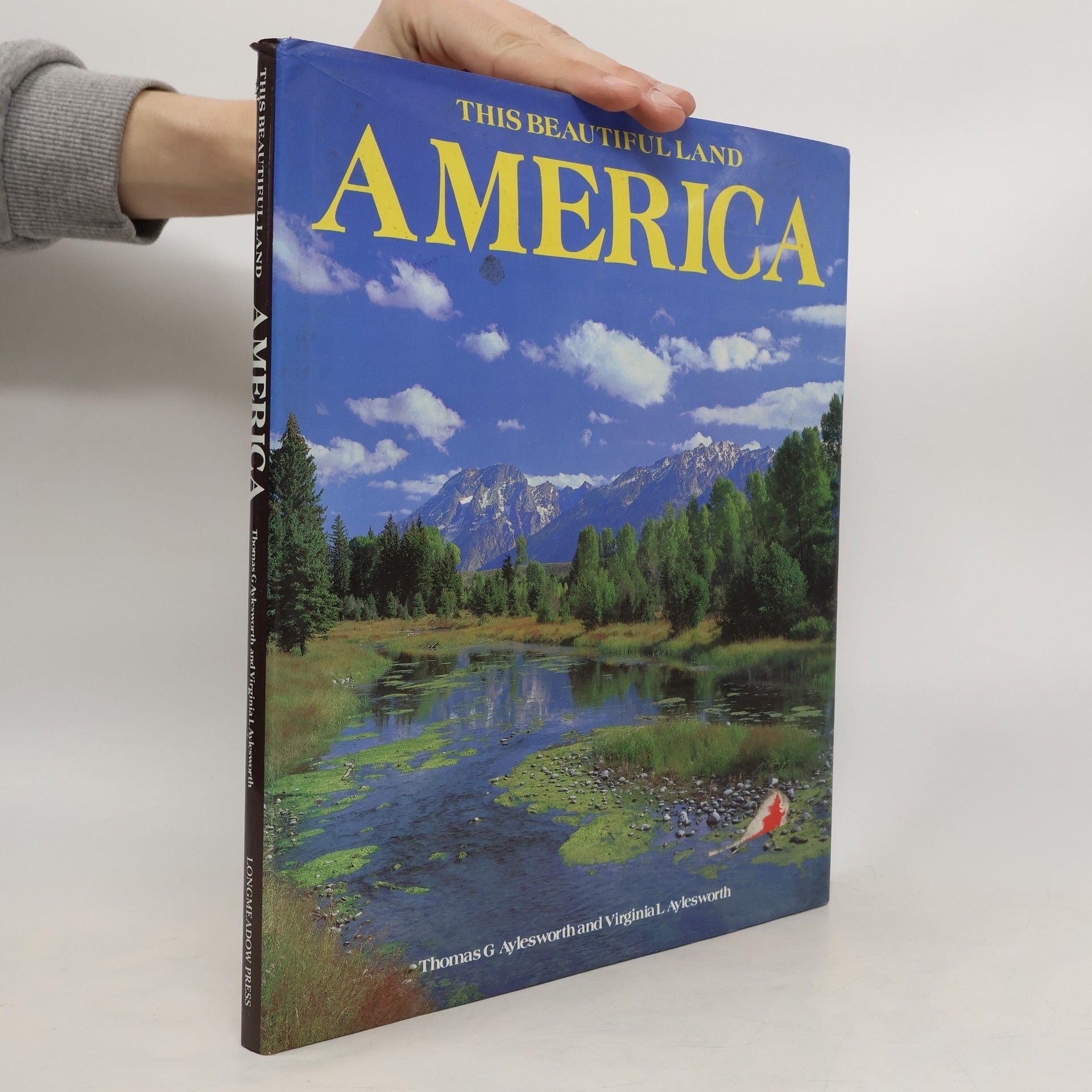 This Beatutiful Land America