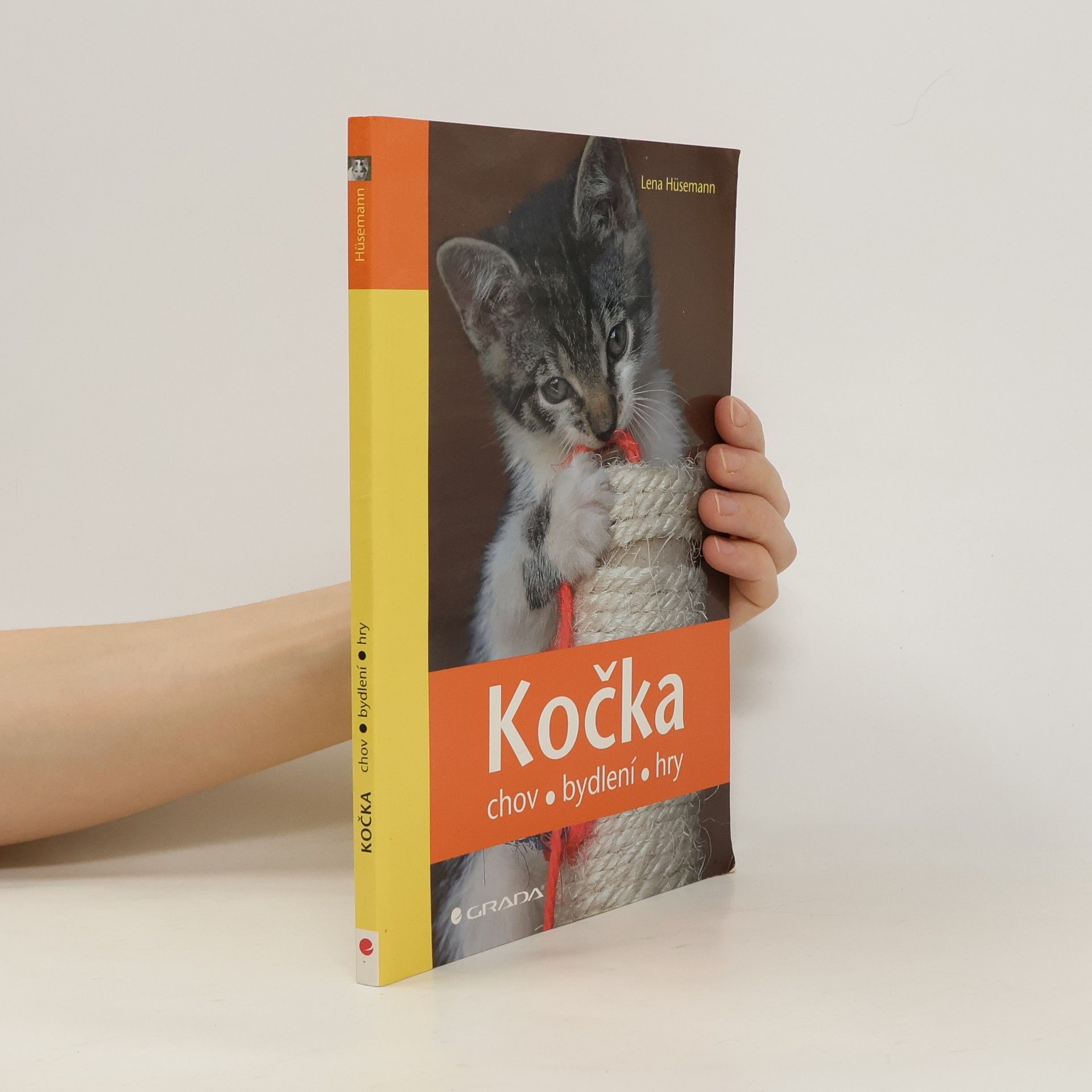 Lena Hüsemann Kočka. Chov, bydlení, hry