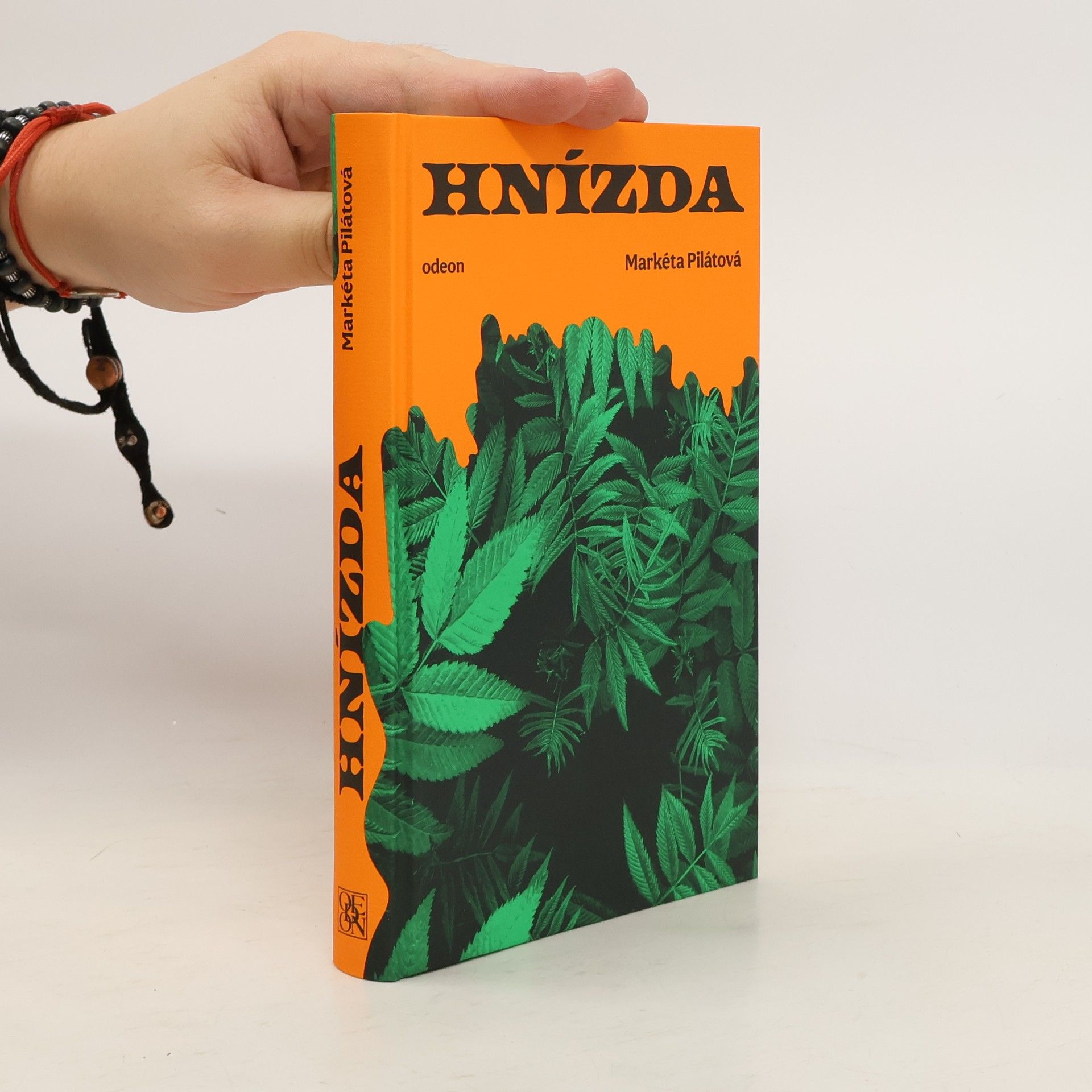 Markéta Pilátová Hnízda