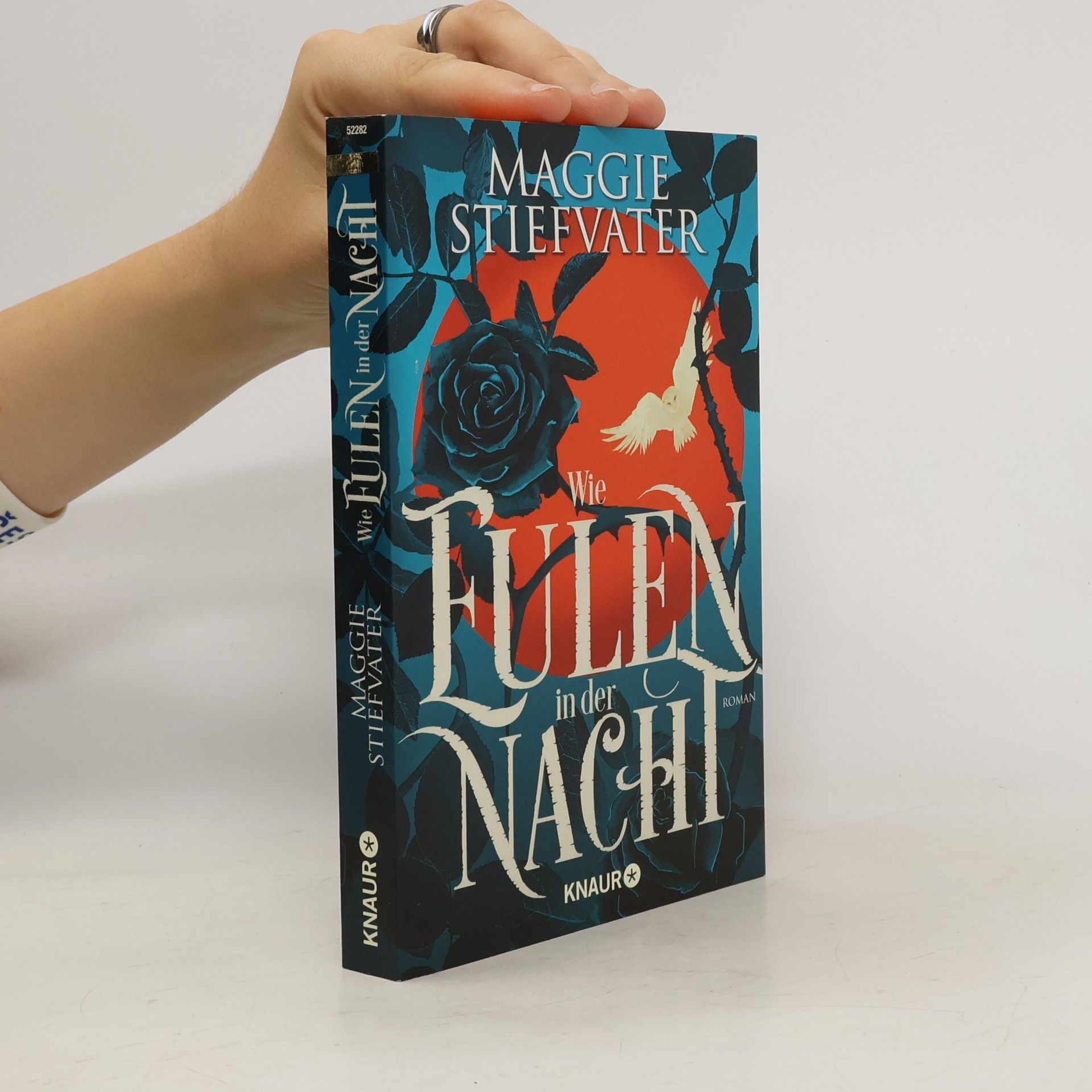 Maggie Stiefvater Wie Eulen in der Nacht