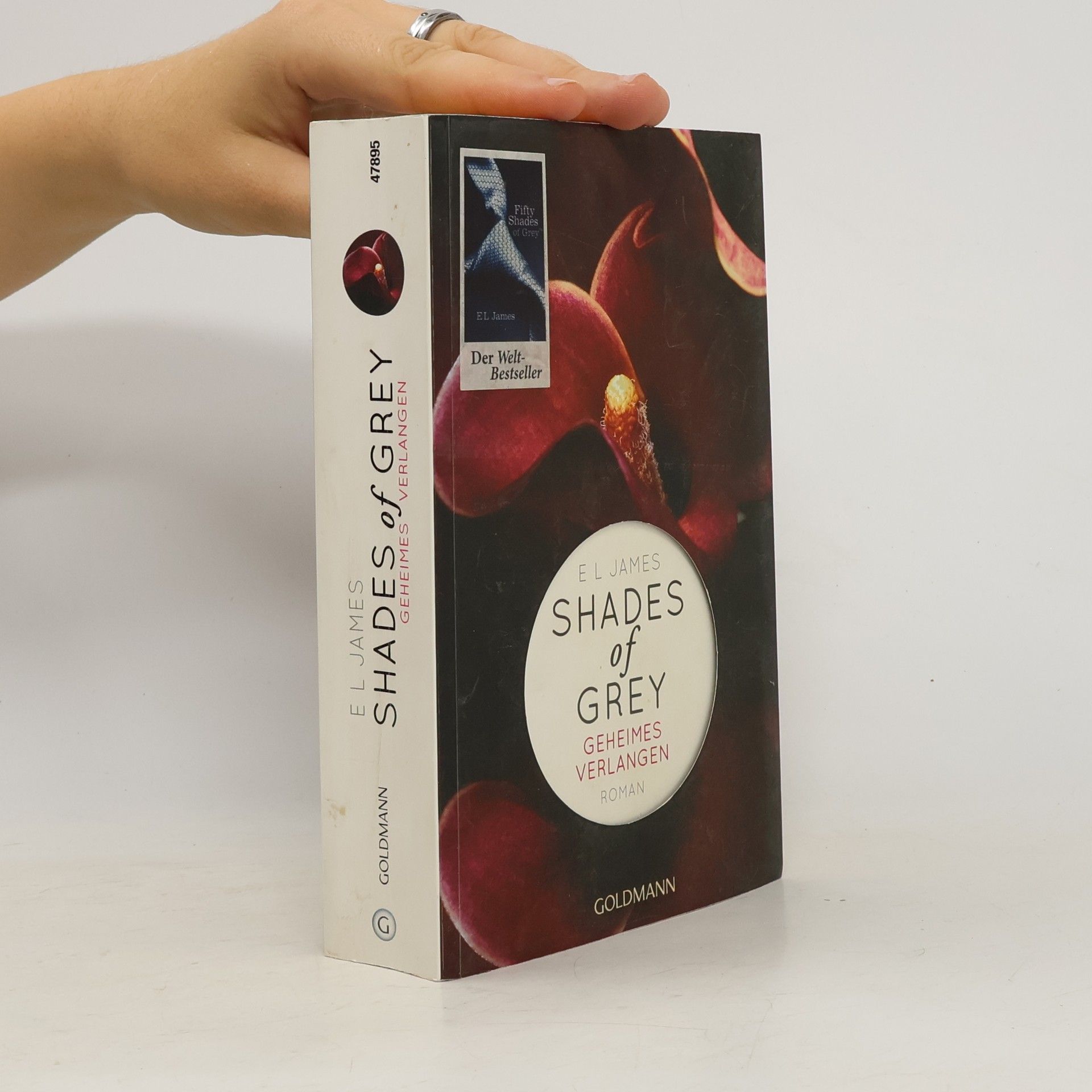 Shades of Grey. Geheimes Verlangen