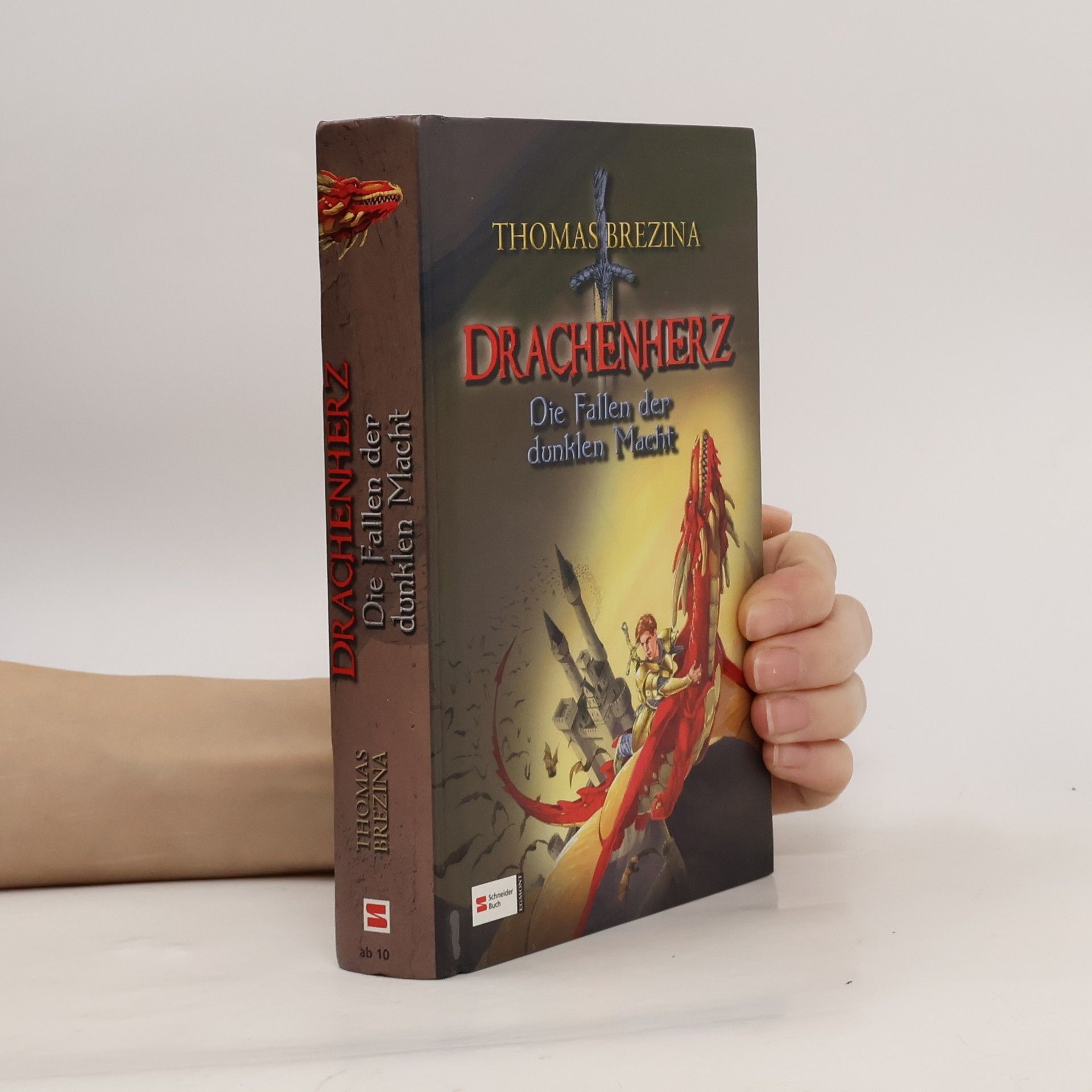 Thomas Brezina Drachenherz, Die Fallen der dunklen Macht