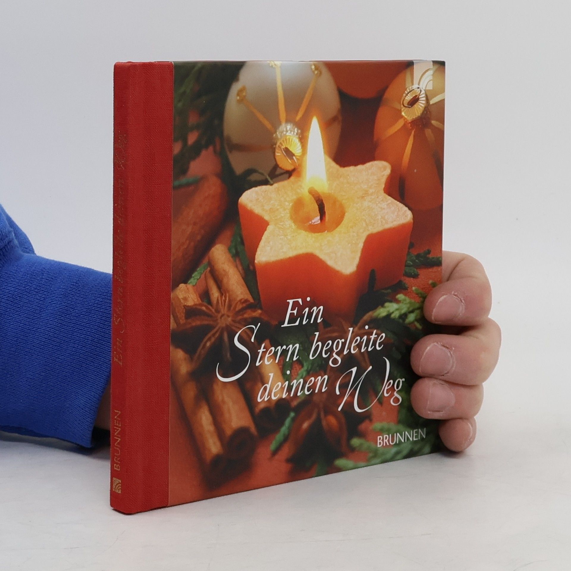 Irmtraut Fröse-Schreer Ein Stern begleite deinen Weg