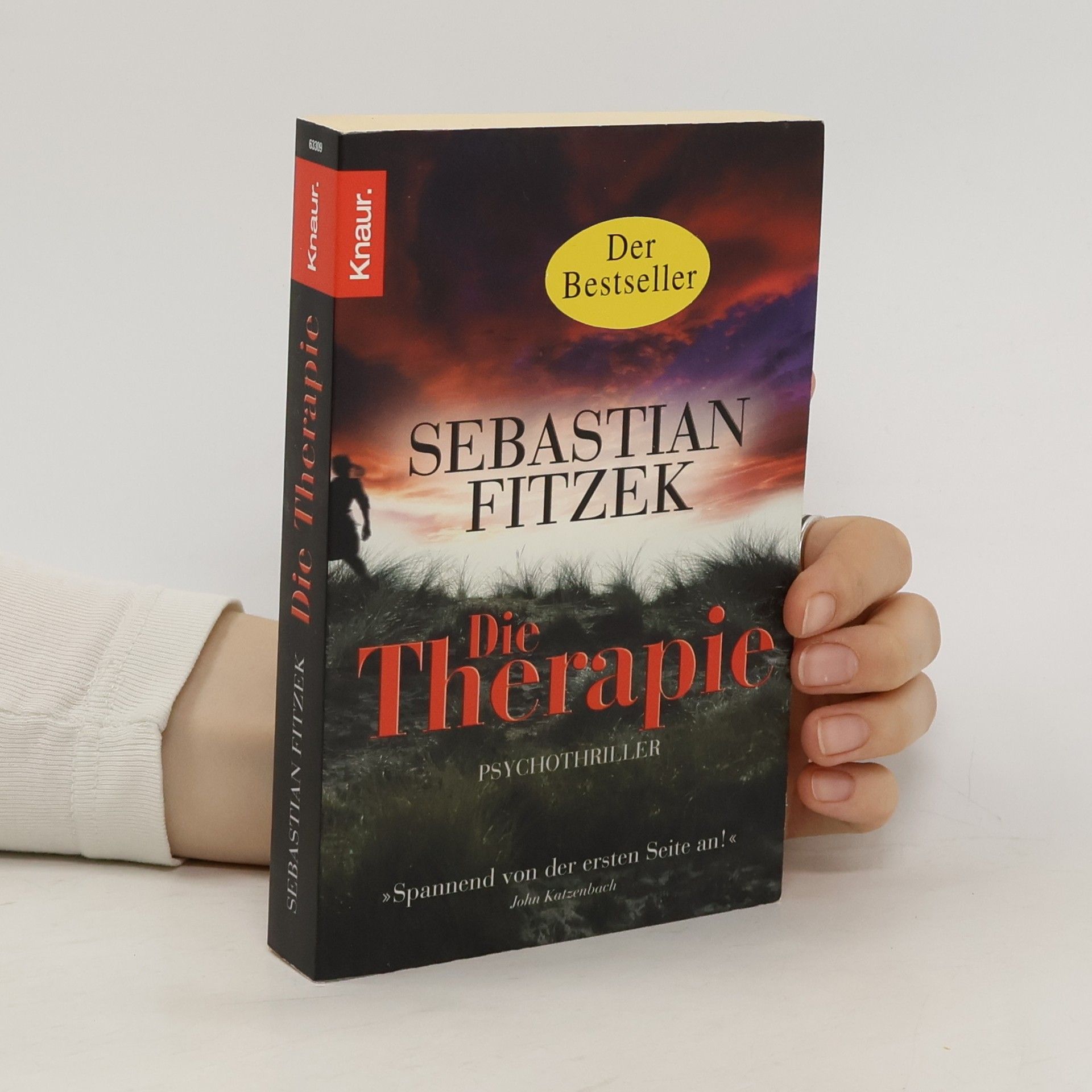 Sebastian Fitzek Die Therapie