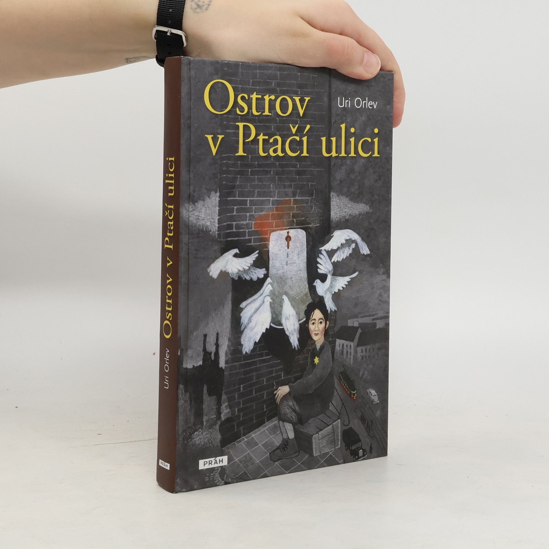 Ostrov v Ptačí ulici
