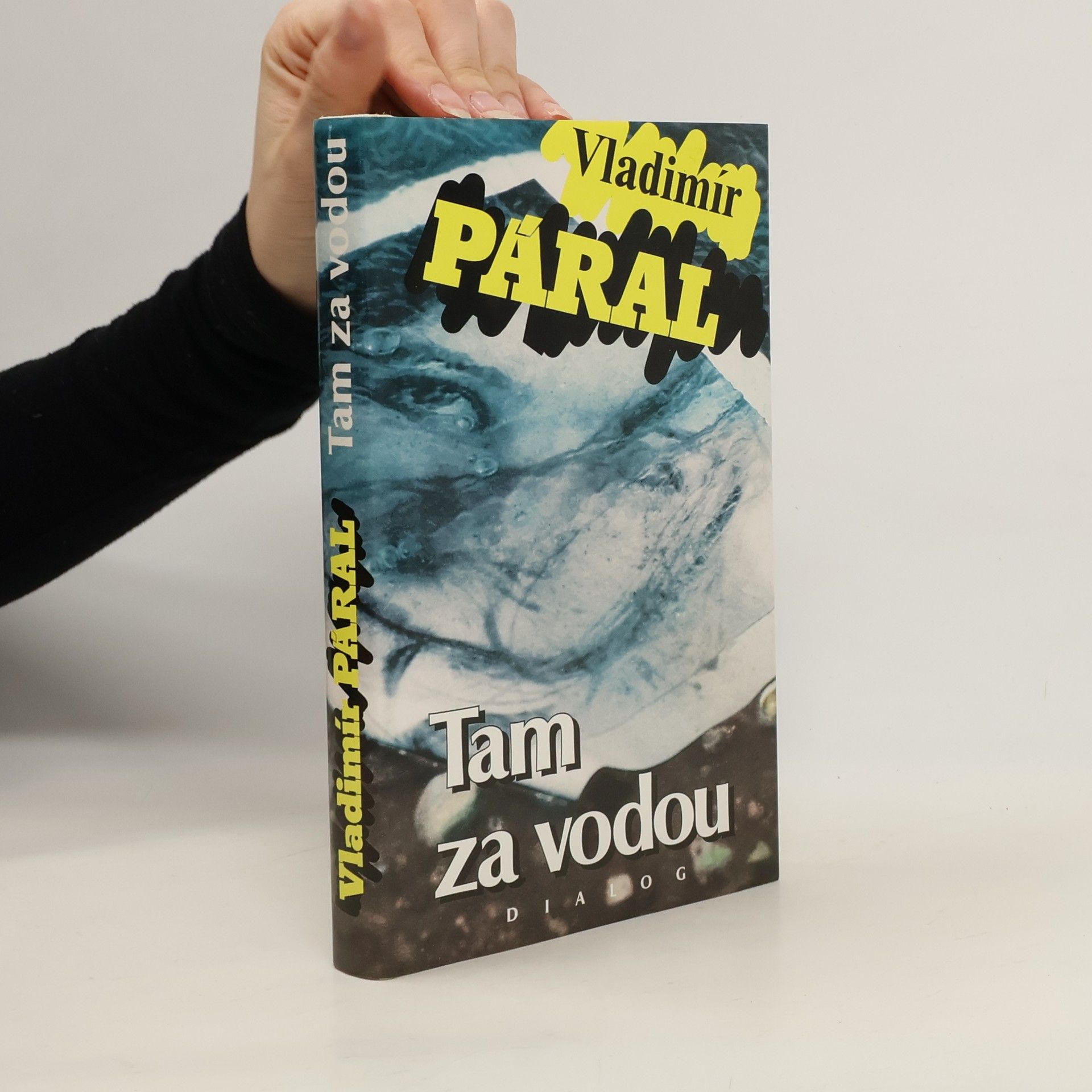 Vladimír Páral Tam za vodou