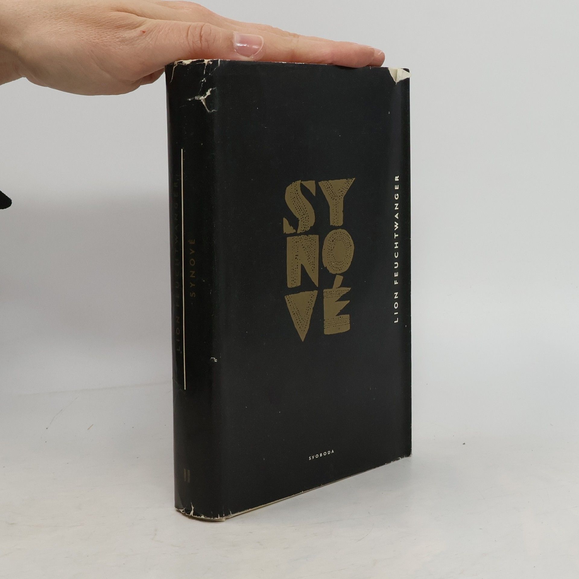 Lion Feuchtwanger Synové