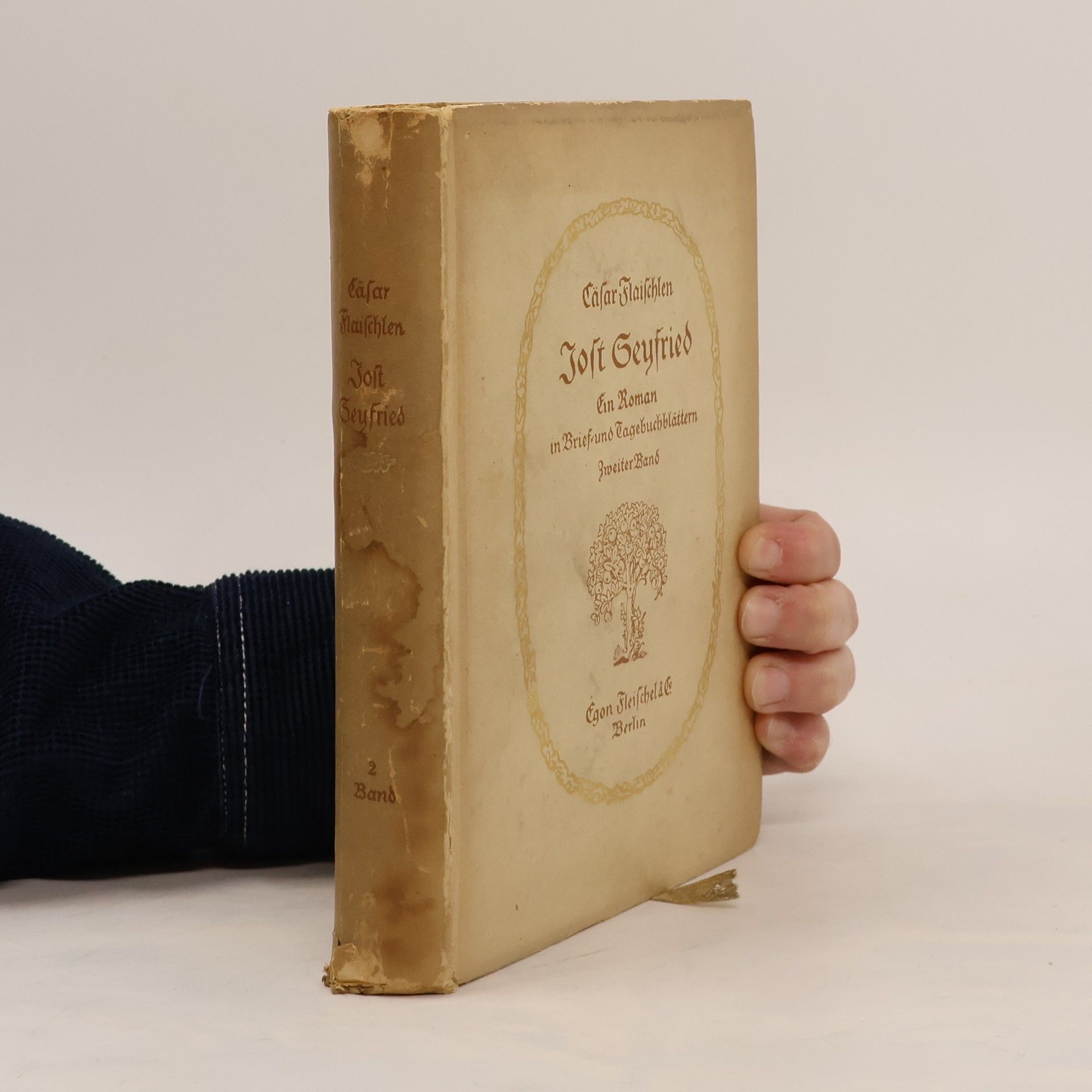 Joft Seyfried. Ein Roman in Brief-und Tagebuchblättern