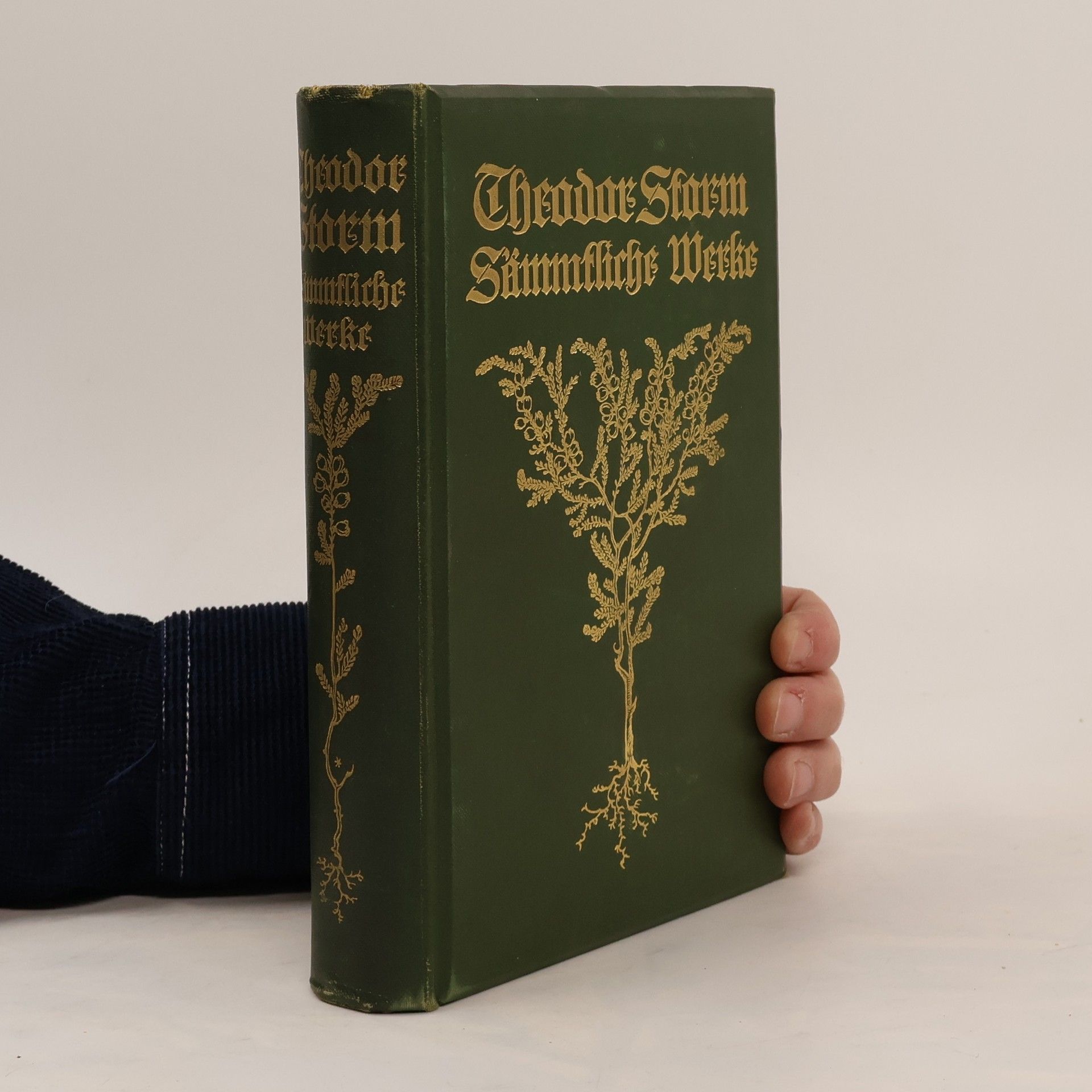 Theodor Storm Sämmtliche Werke 5