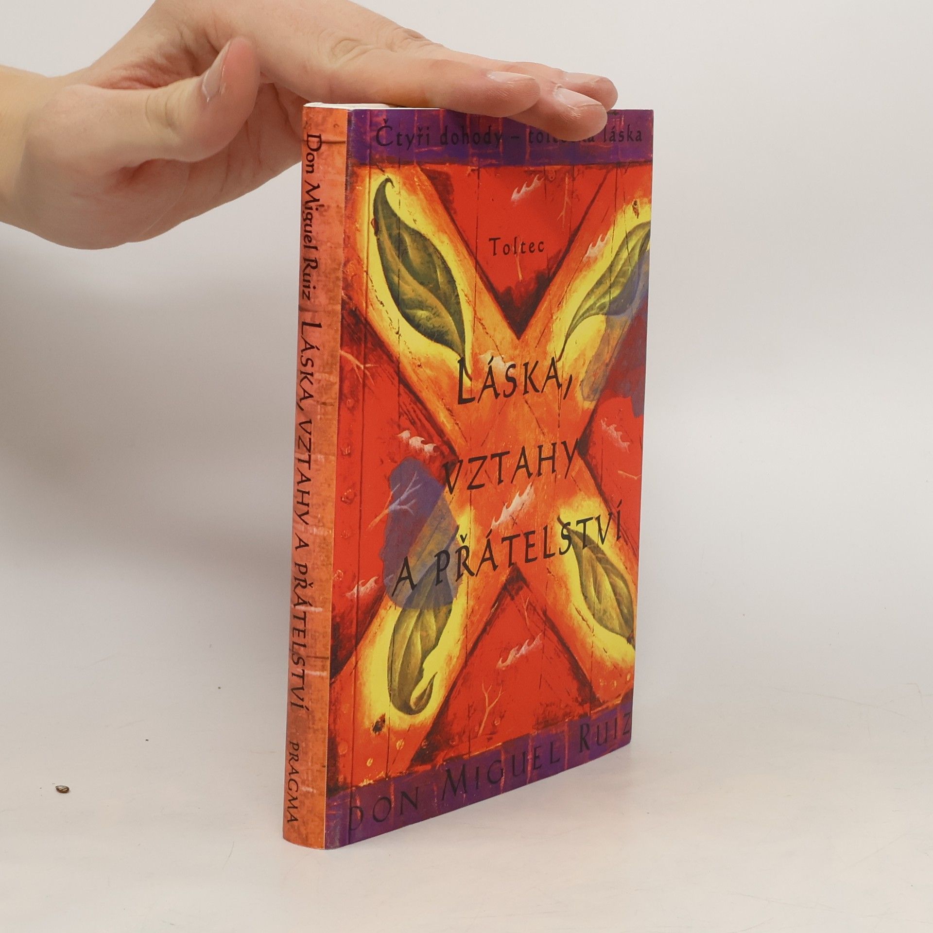 Don Miguel Ruiz Láska, vztahy a přátelství