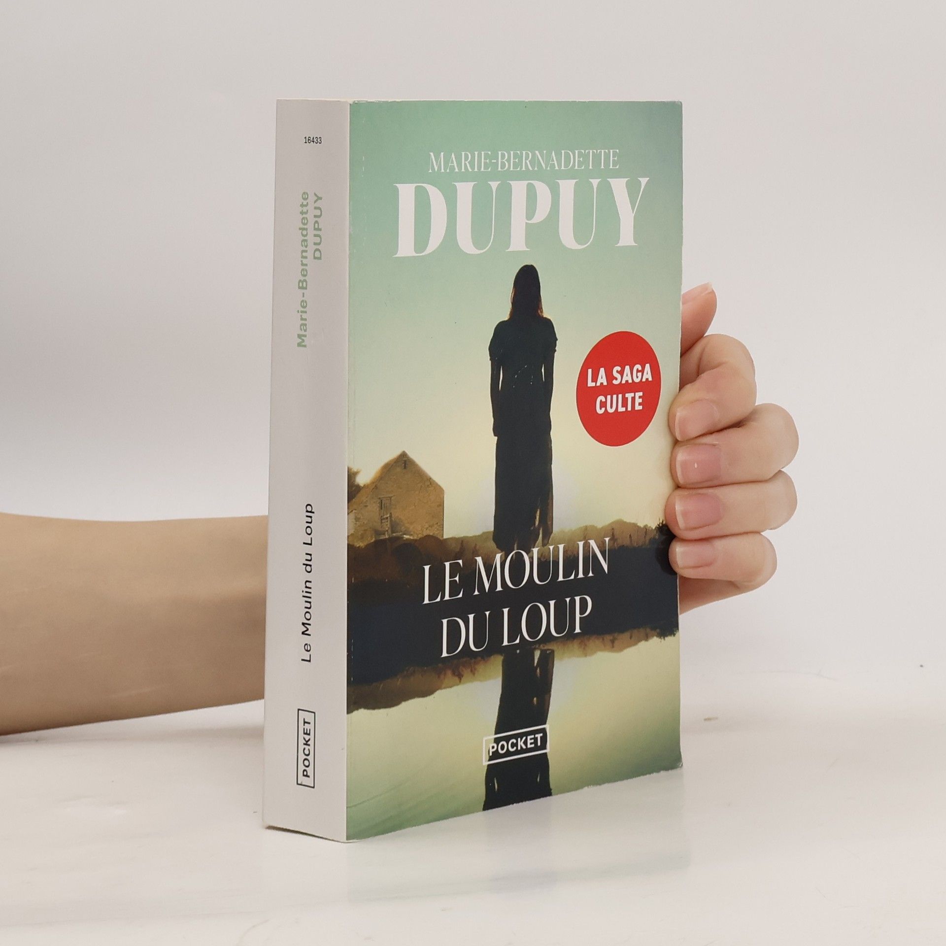 Marie Dupuy Le moulin du loup