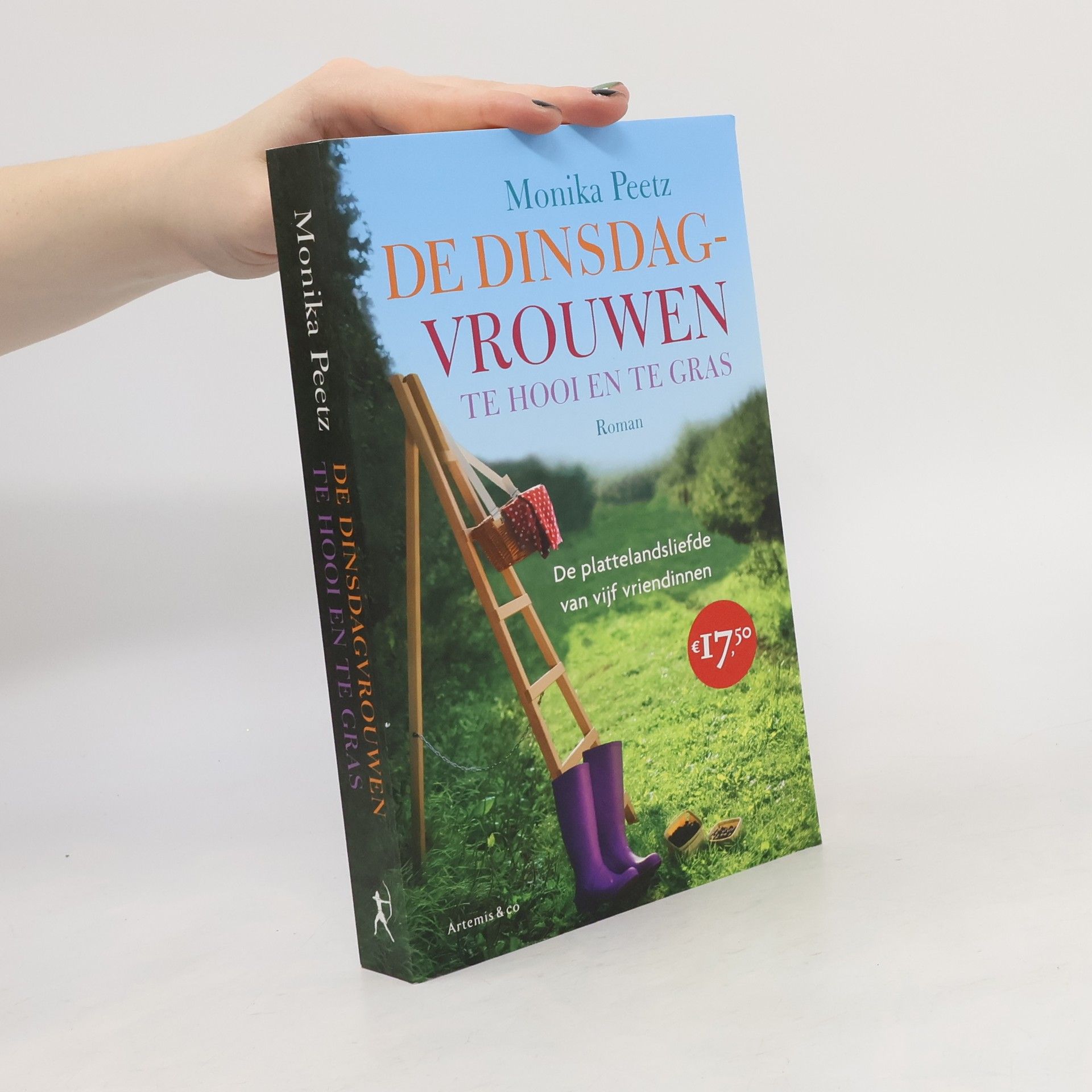 Monika Peetz De dinsdagvrouwen te hooi en te gras