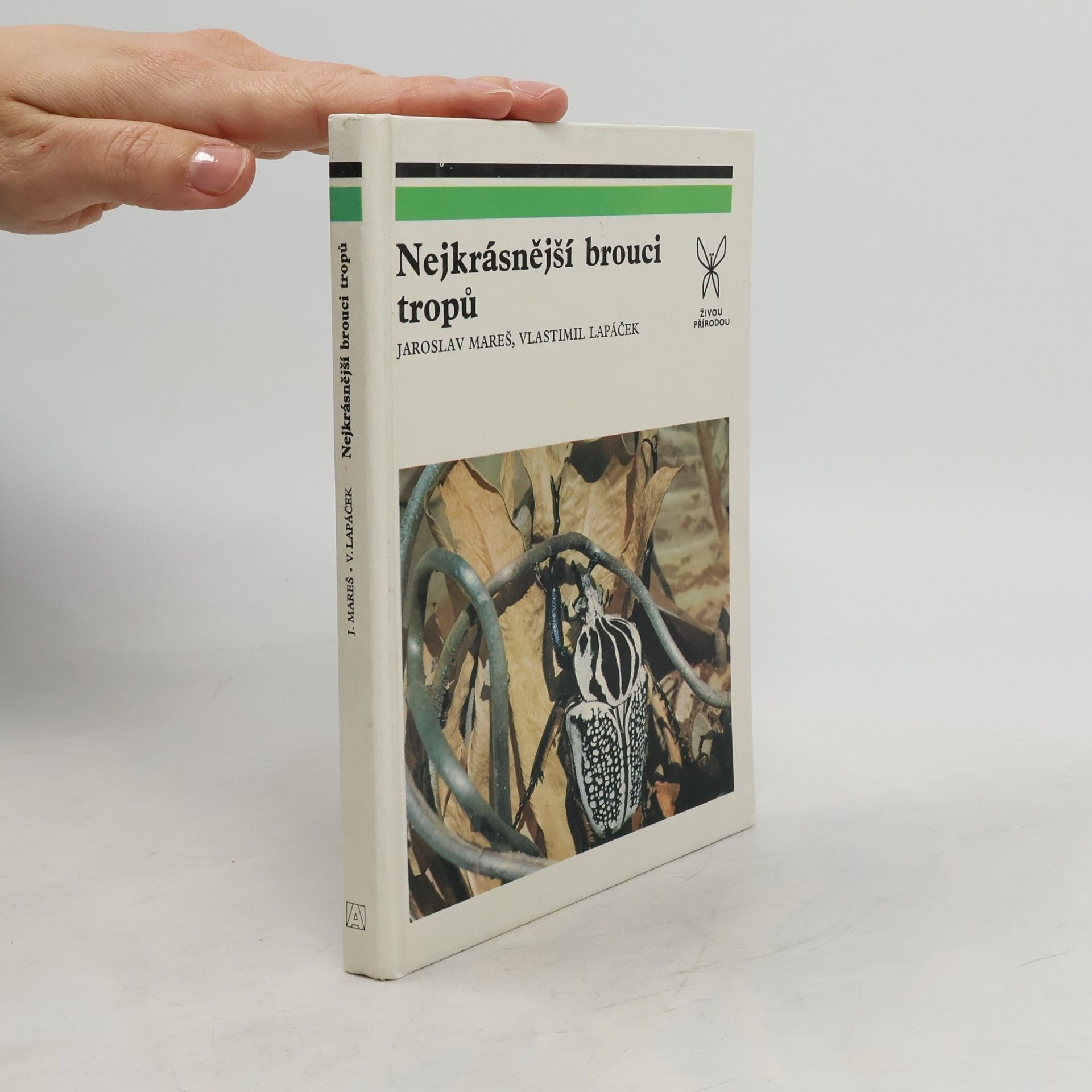 Jaroslav Mareš Nejkrásnější brouci tropů