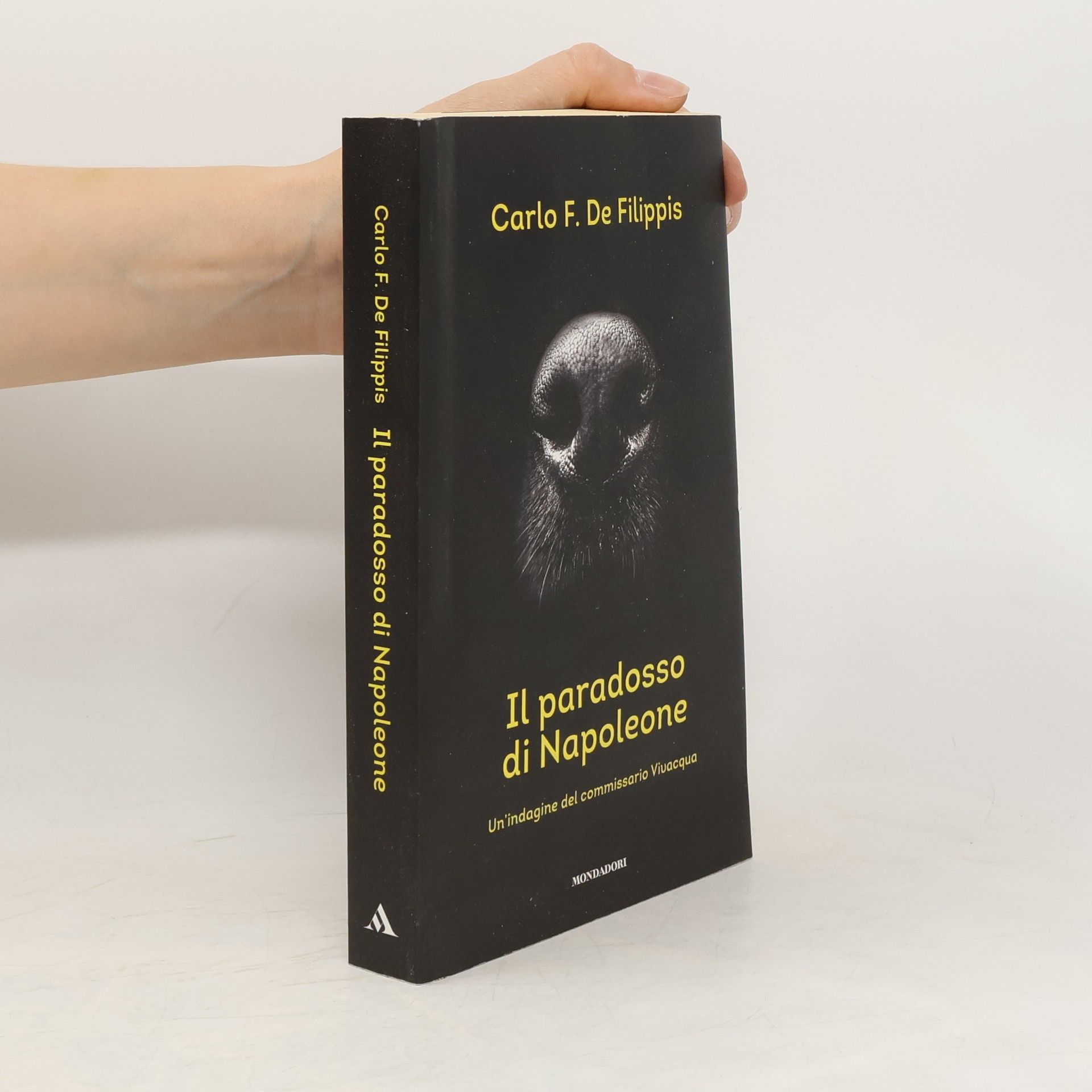 Il paradosso di Napoleone. Un'indagine del commissario Vivacqua