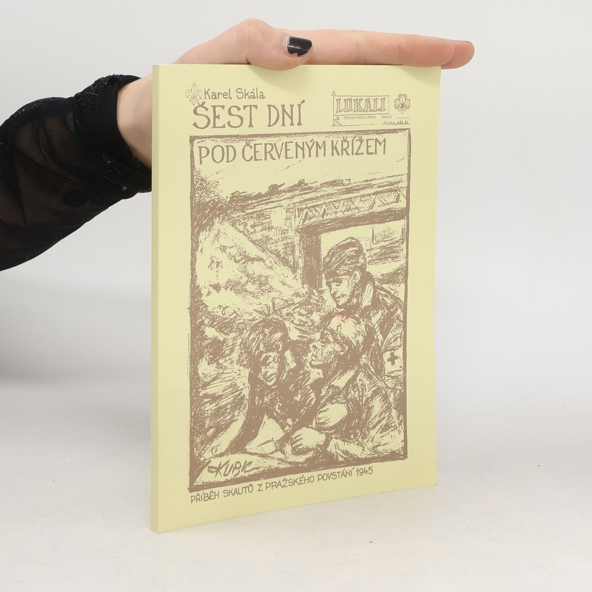 Šest dní pod červeným křížem