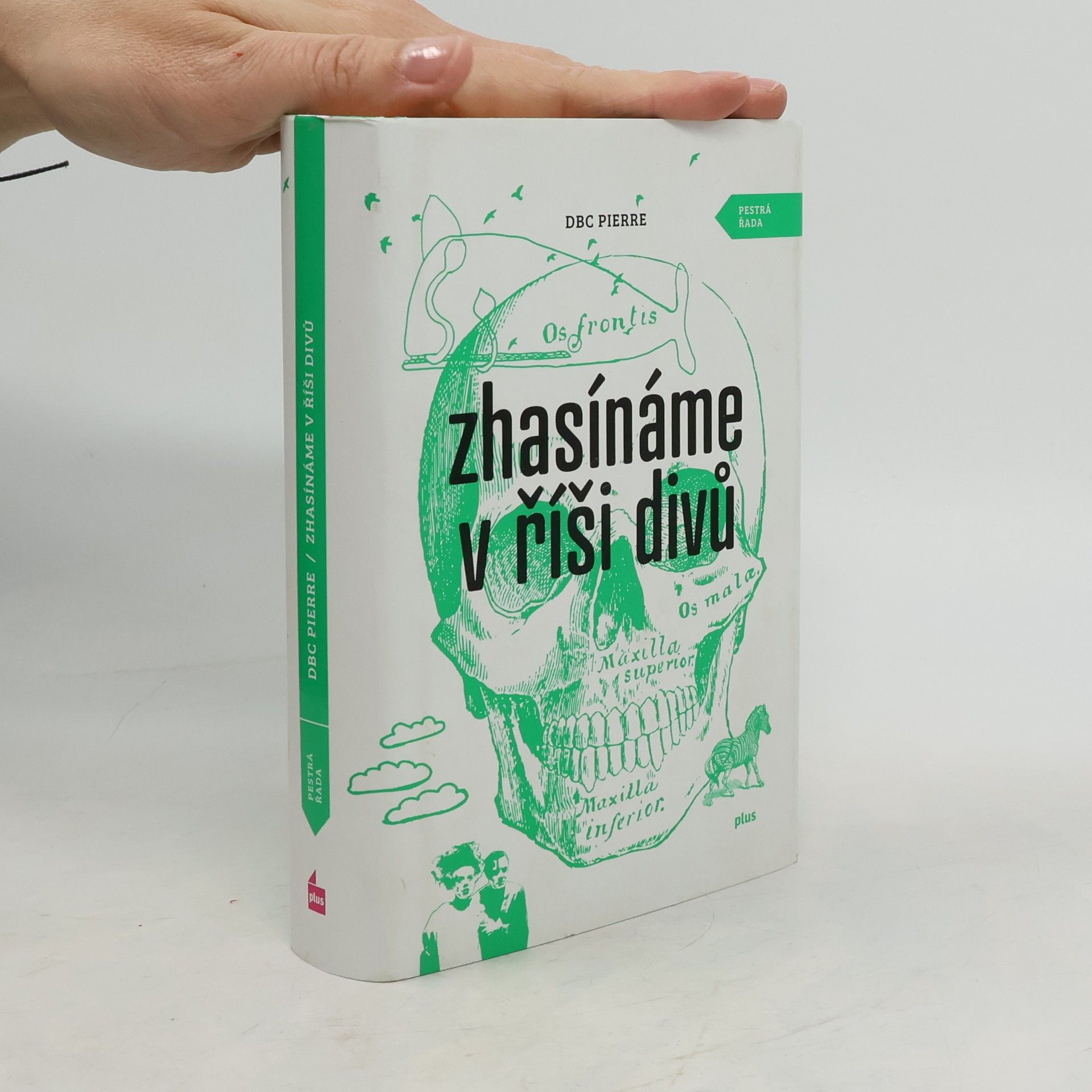 D. B. C. Pierre Zhasínáme v říši divů