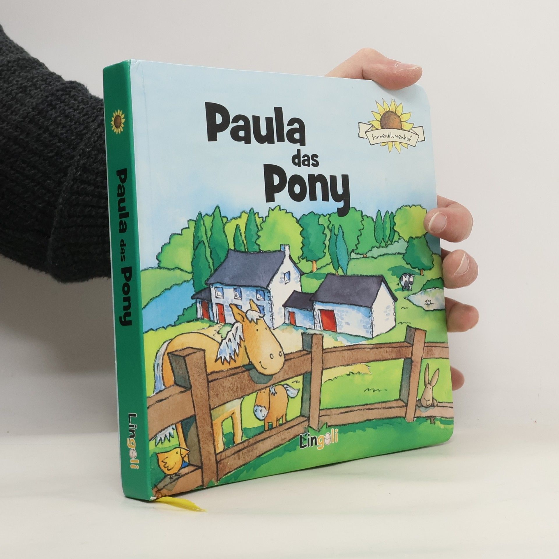 Autorenkollektiv Paula das Pony