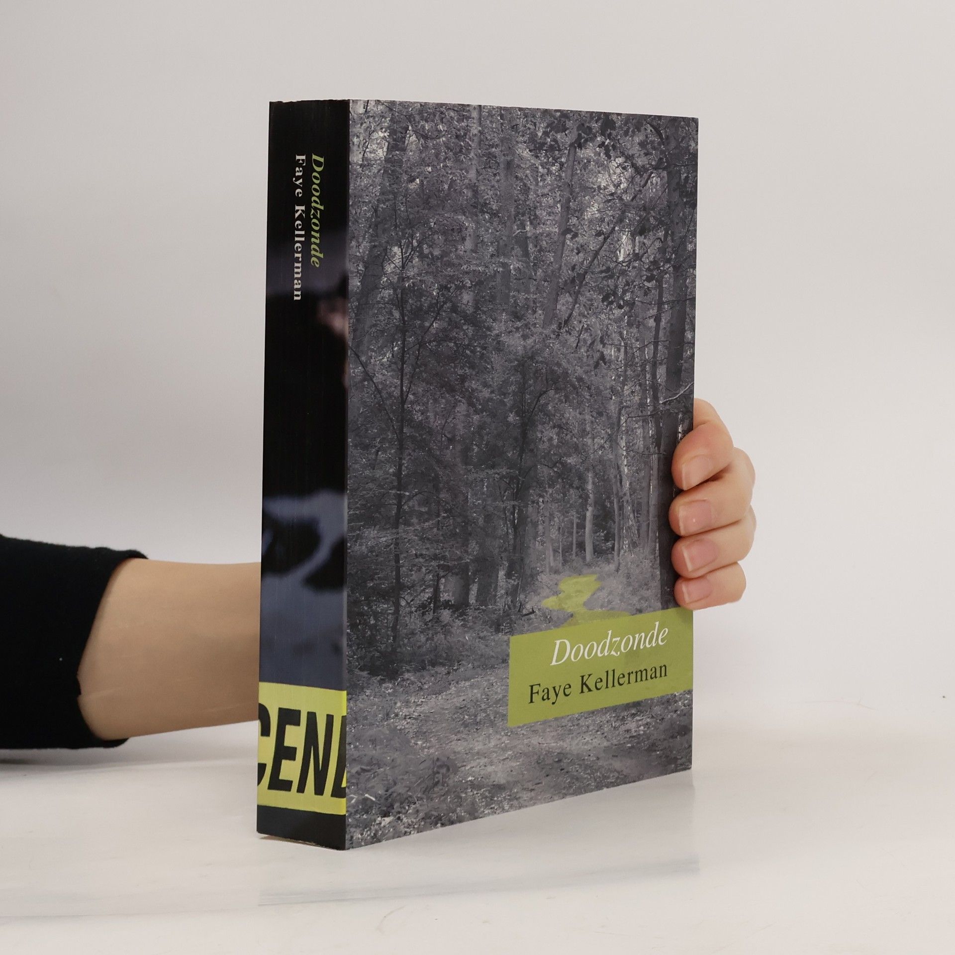 Faye Kellerman Doodzonde