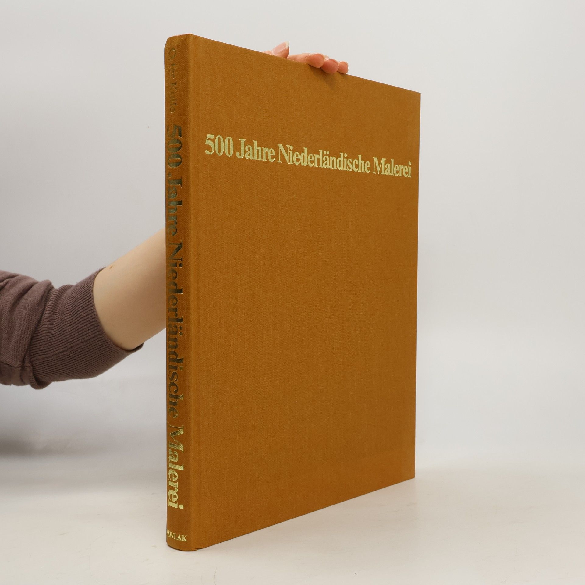 Onno ter Kuile 500 Jahre niederländische Malerei