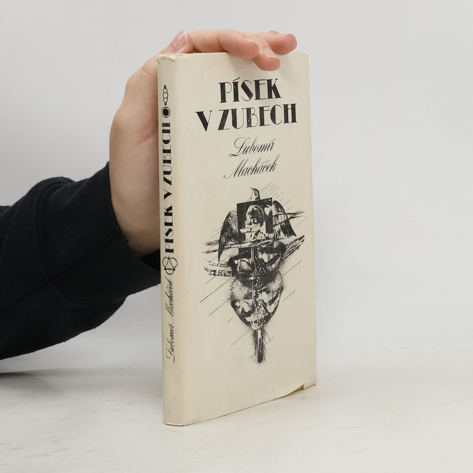 Lubomír Macháček Písek v zubech