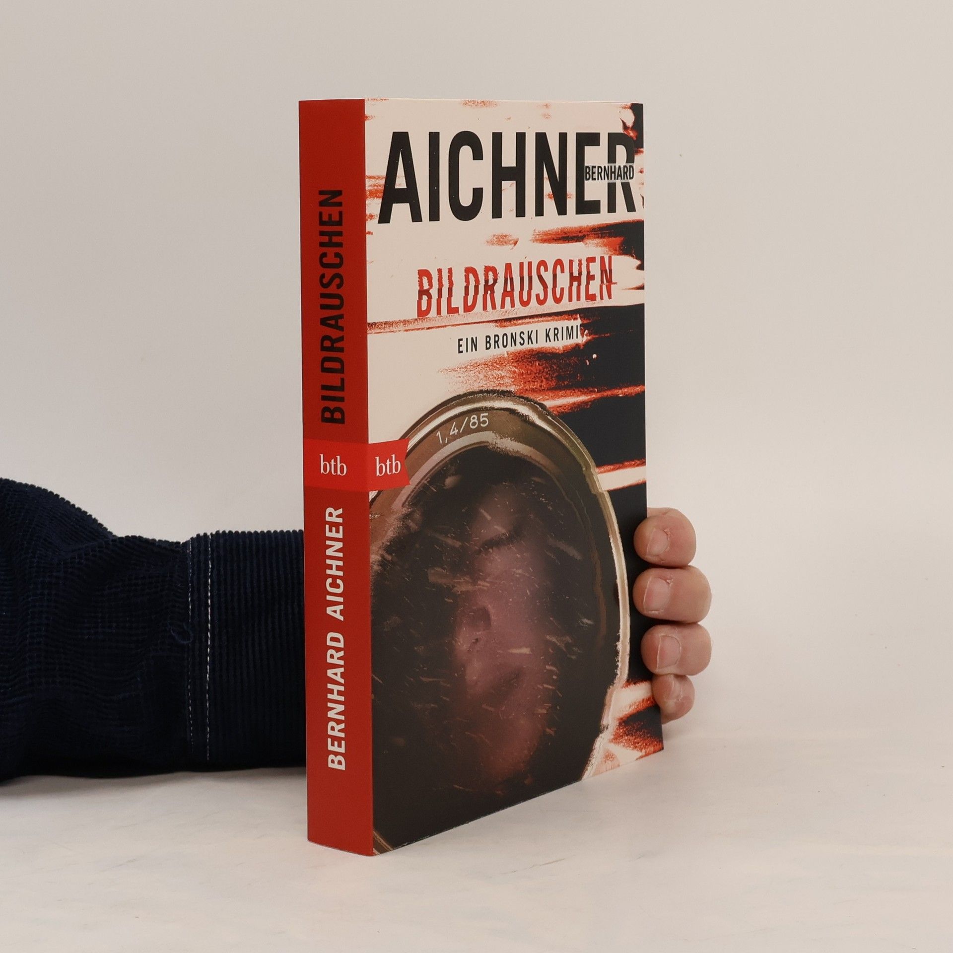 Bernhard Aichner Bildrauschen