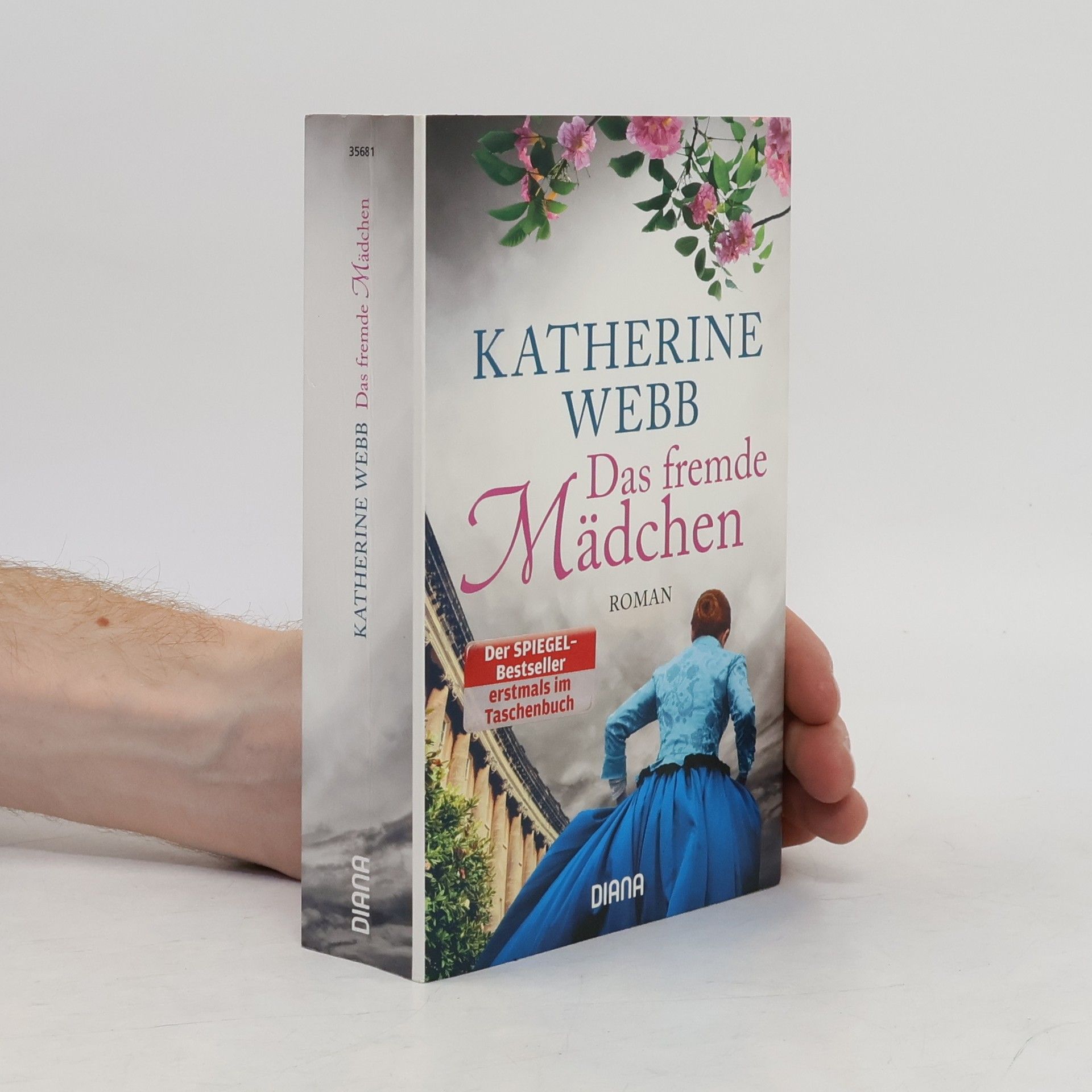 Katherine Webb Das fremde Mädchen