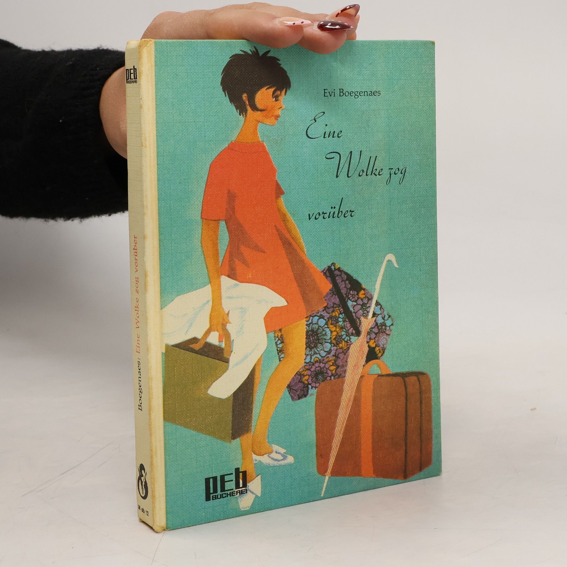 Eine Wolke zog vorüber