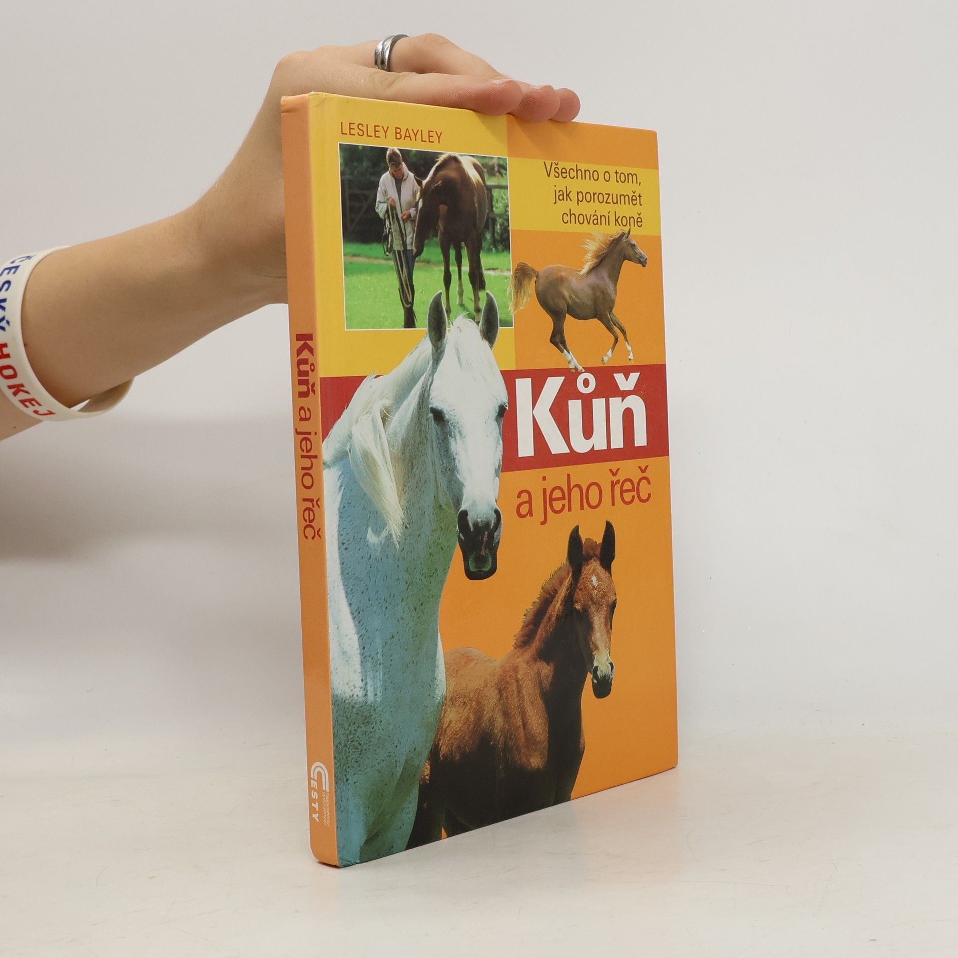 Lesley Bayley Kůň a jeho řeč