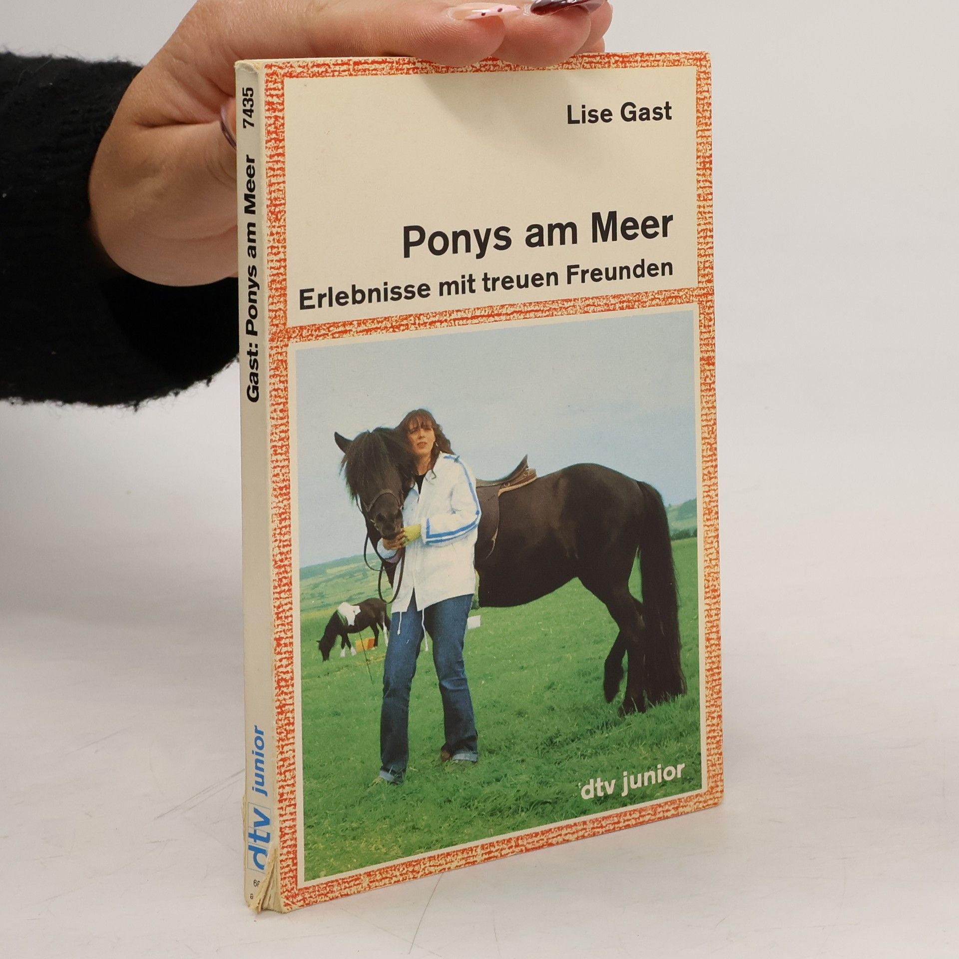 Lise Gast Ponys am Meer