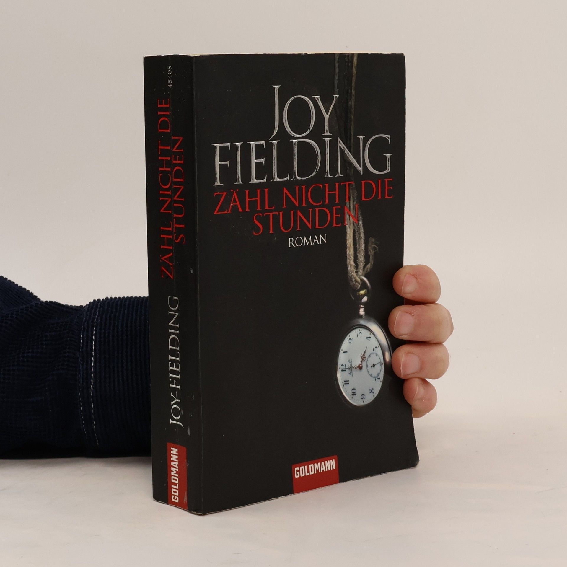 Joy Fielding Zähl nicht die Stunden