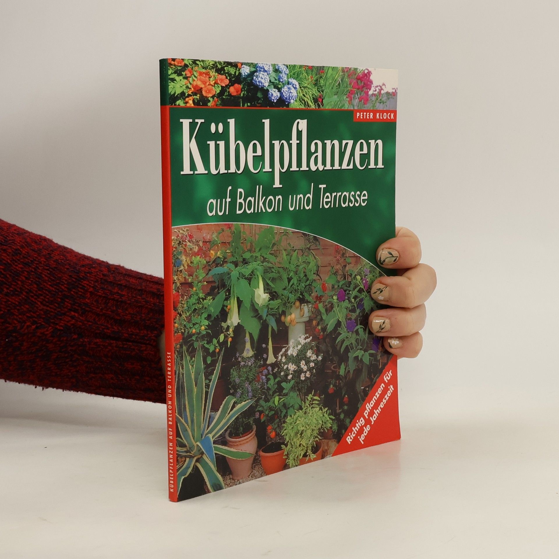 Kübelpflanzen auf Balkon und Terrasse