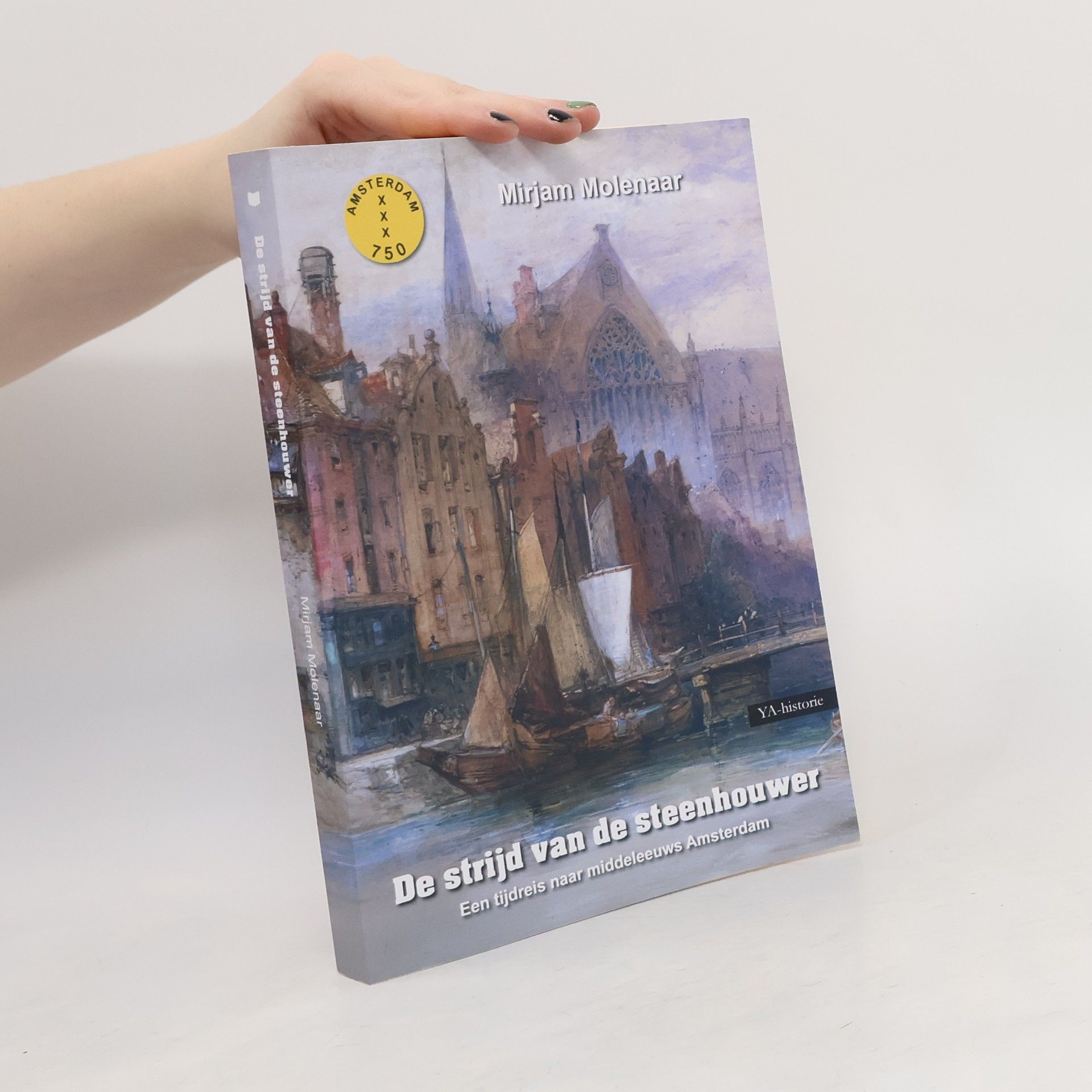 Mirjam Molenaar De strijd van de steenhouwer