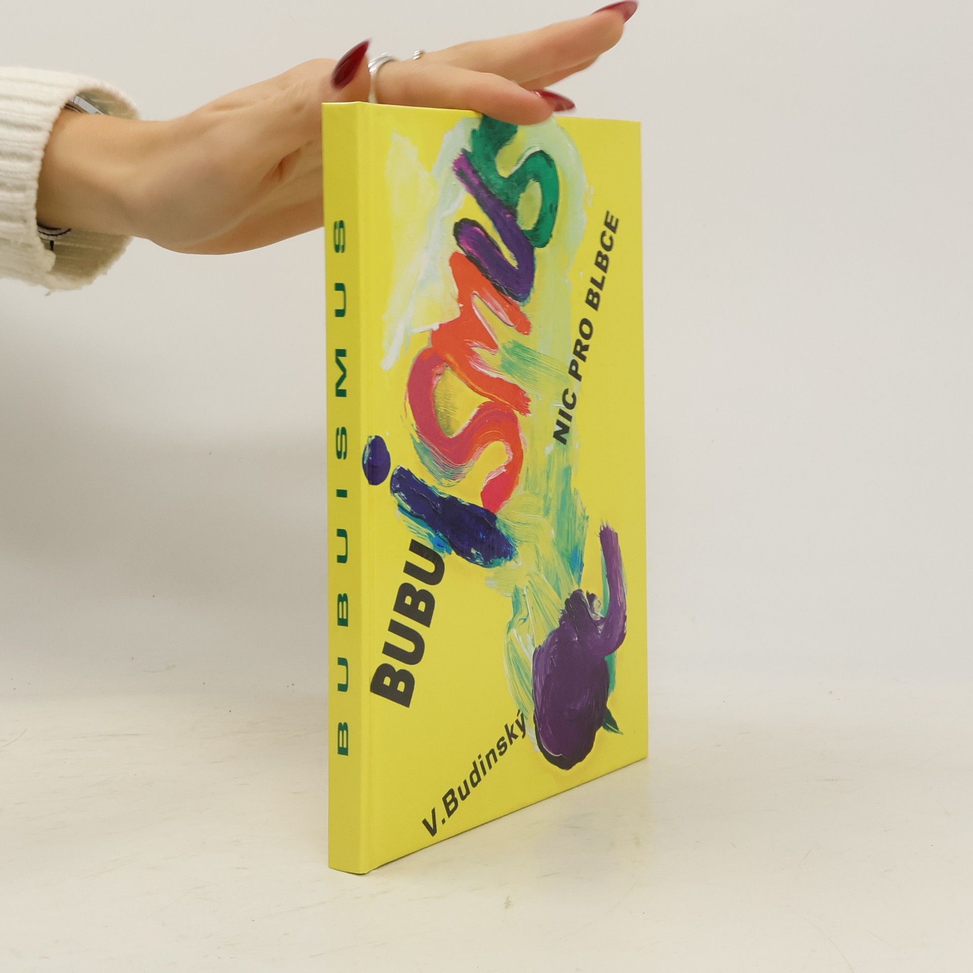 Václav Budinský Bubuismus - nic pro blbce