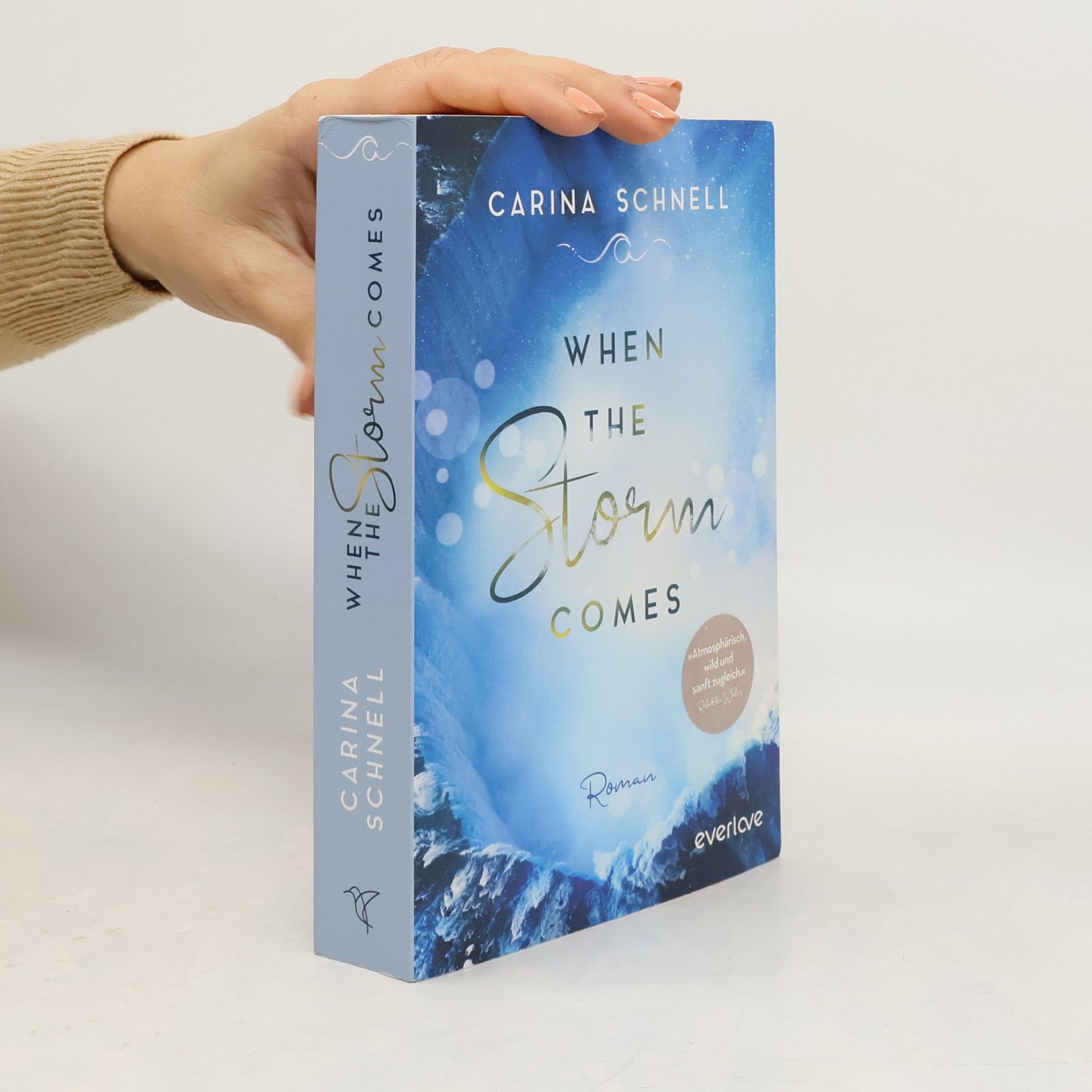 Carina Schnell When the storm comes