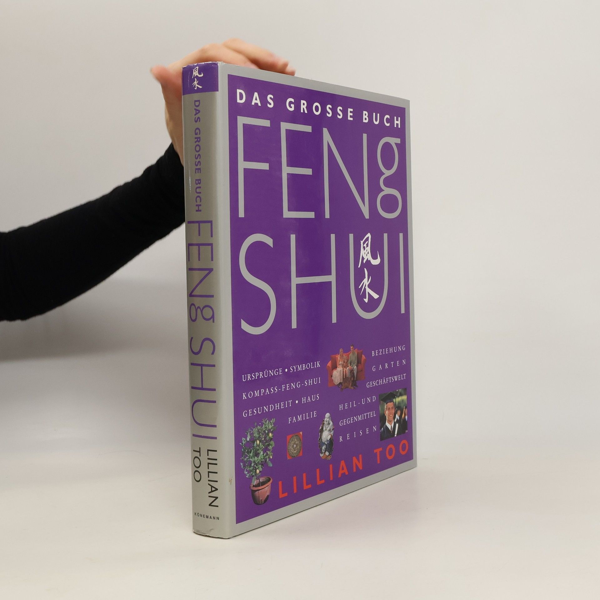 Lillian Too Das grosse Buch Feng Shui