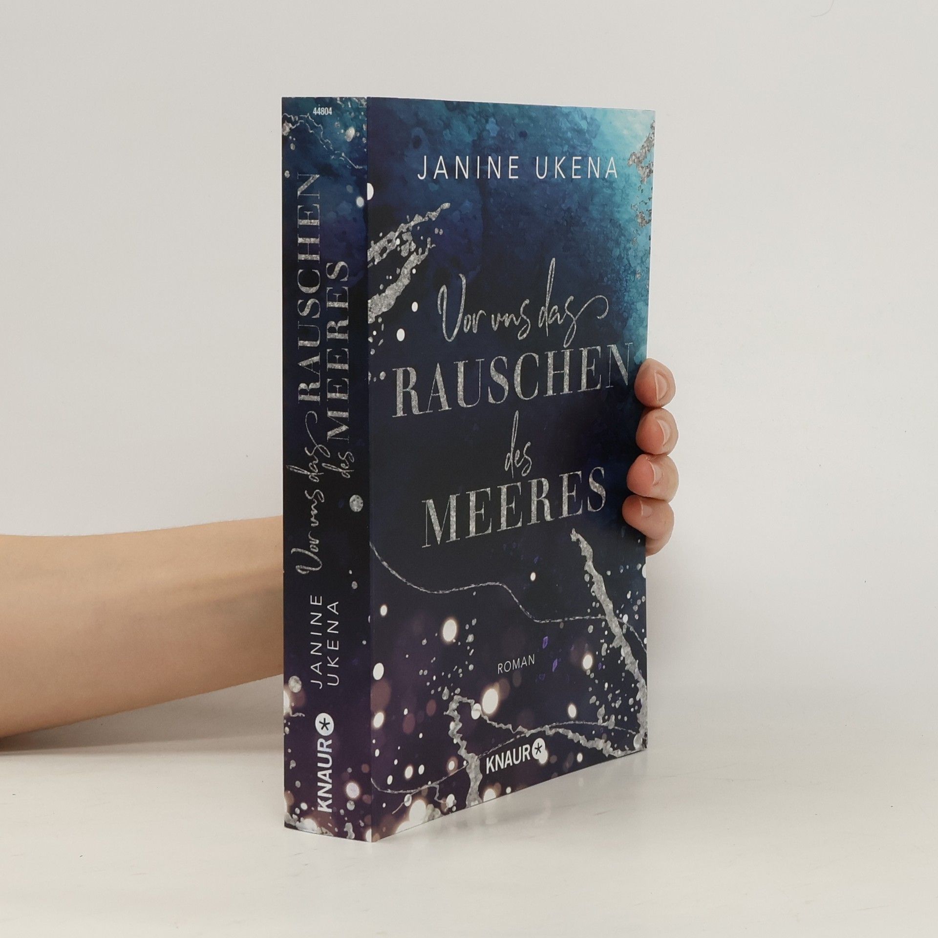 Vor uns das Rauschen des Meeres