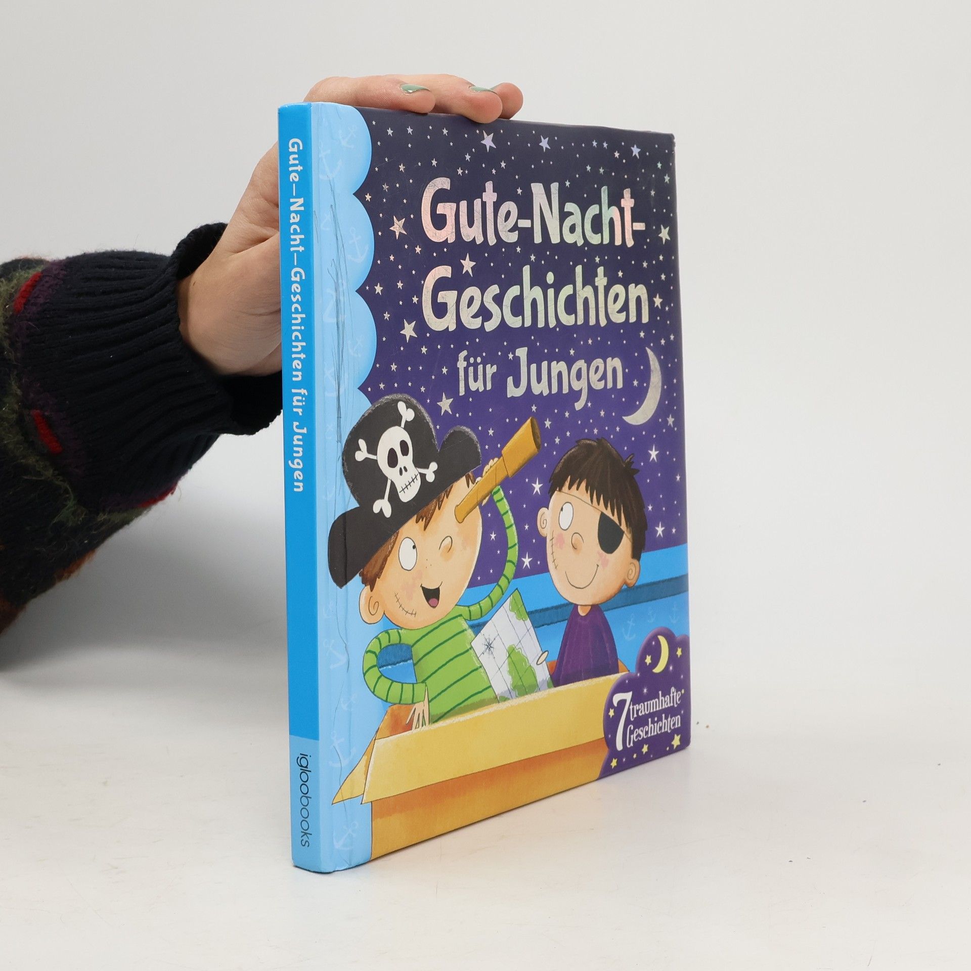 Collectif d'auteurs Gute-Nacht-Geschichten für Jungen