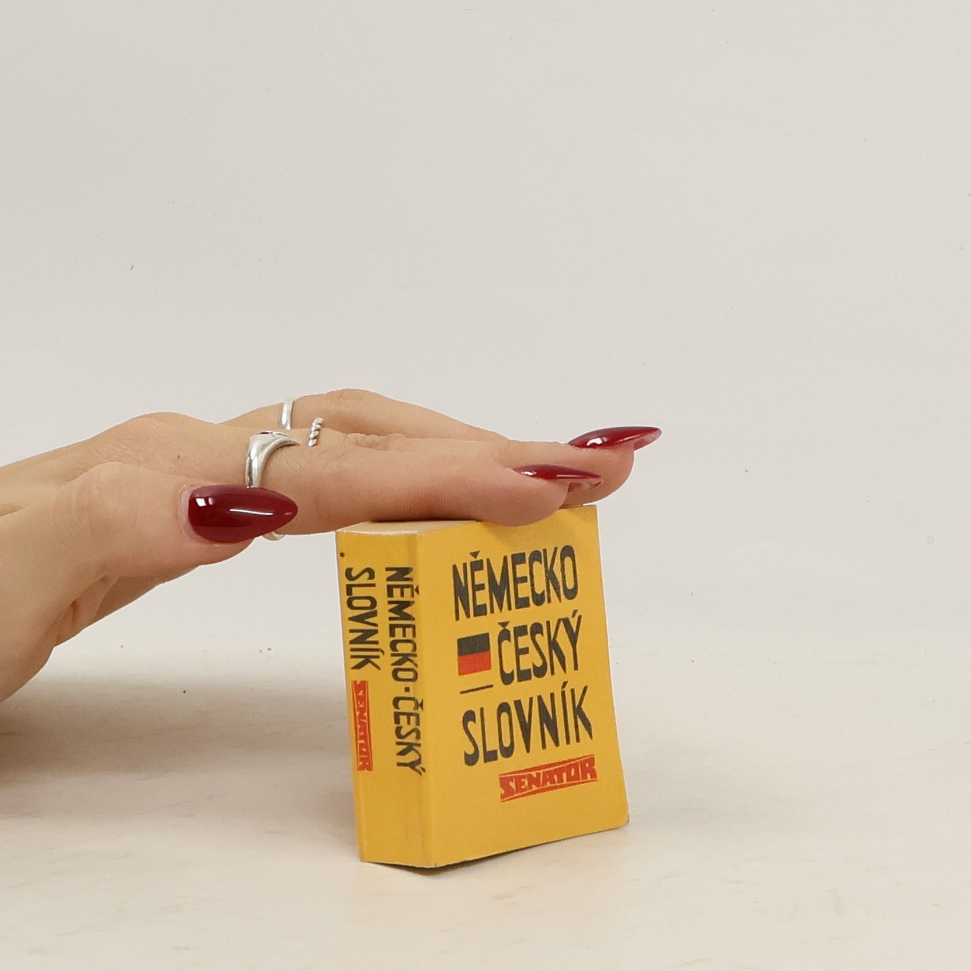 Autorenkollektiv Německo-český slovník