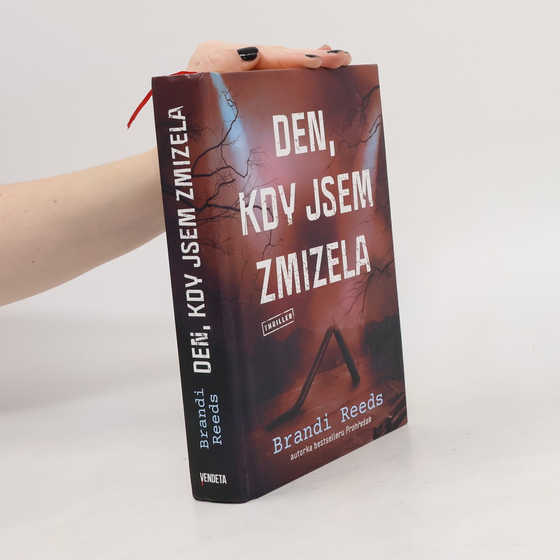 Brandi Reeds Den, kdy jsem zmizela