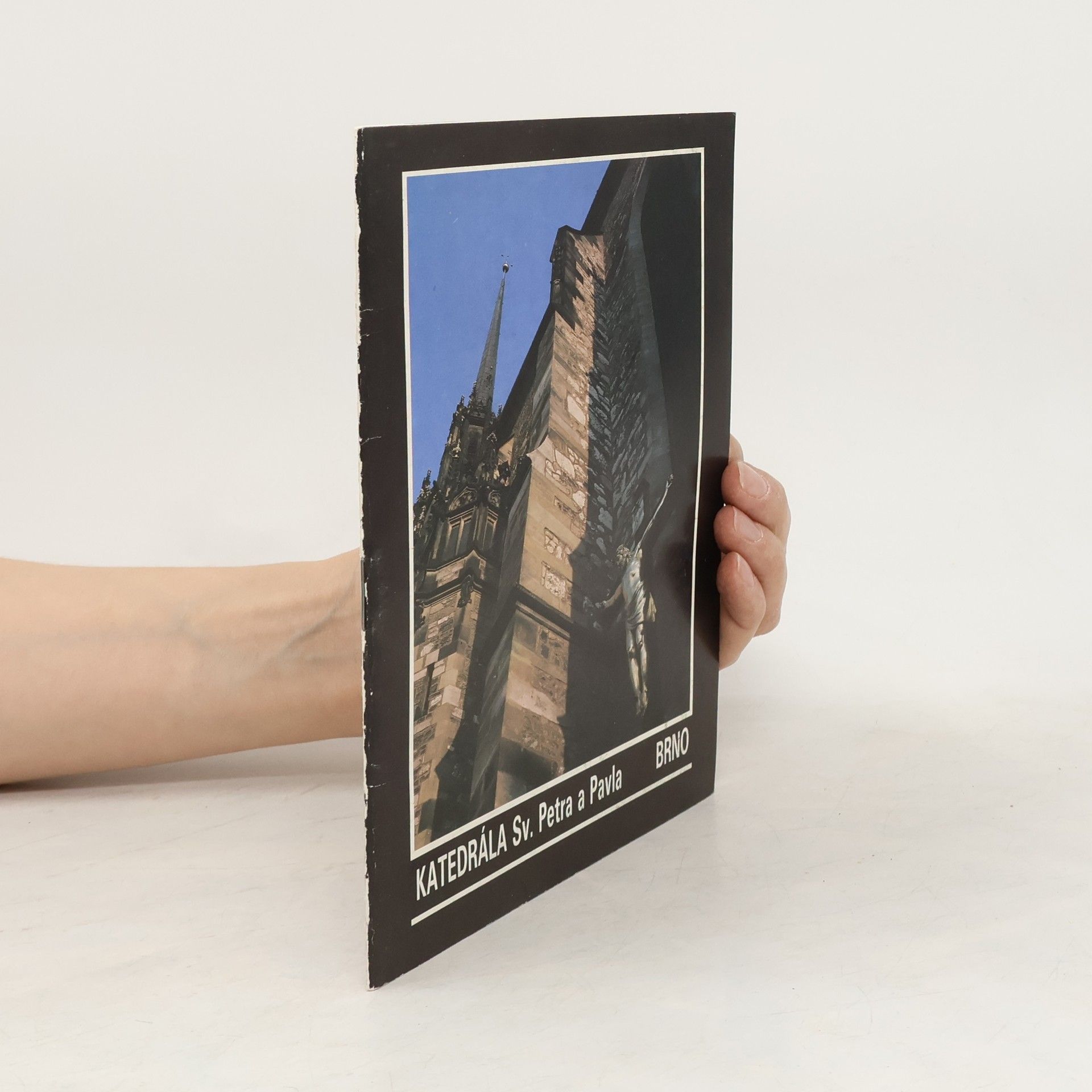 Ludvík Horký Katedrála sv. Petra a Pavla