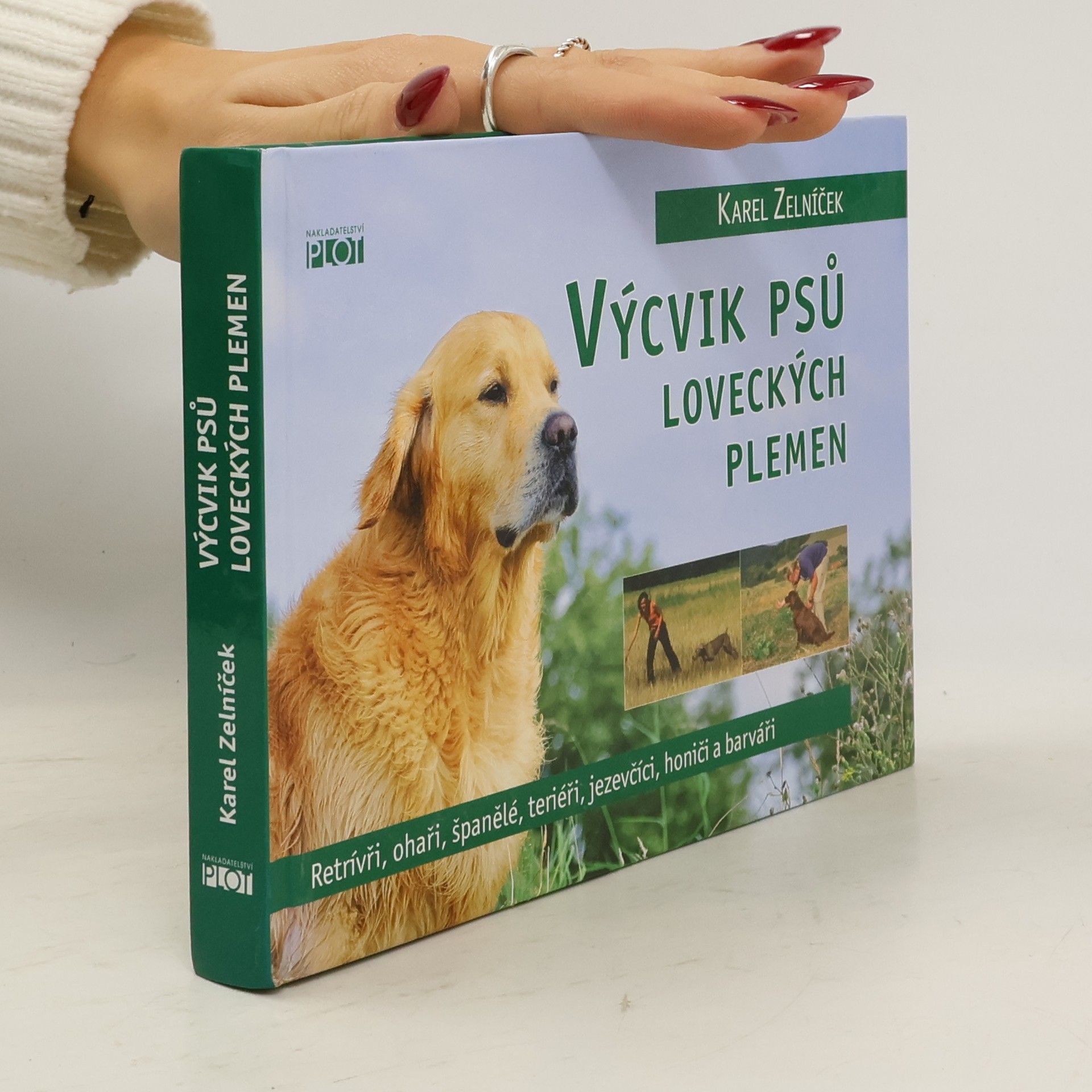 Výcvik psů loveckých plemen