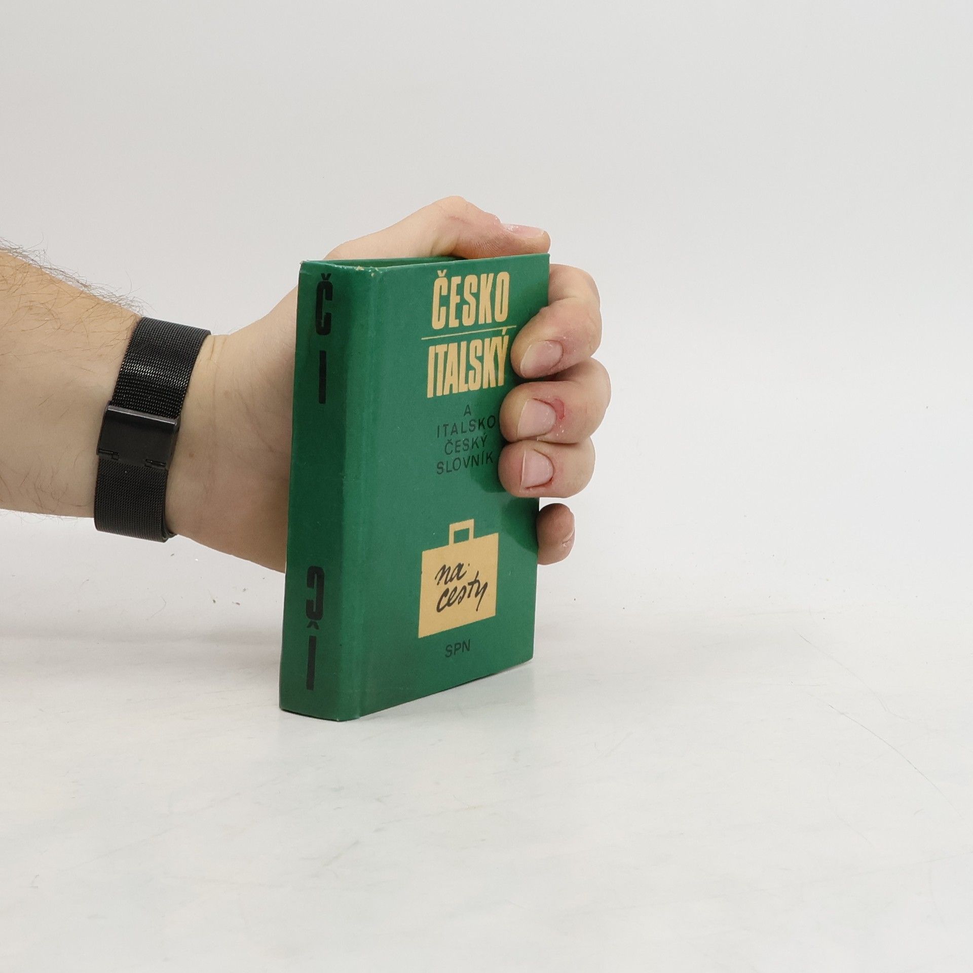 Hana Benešová Česko-italský a italsko-český slovník