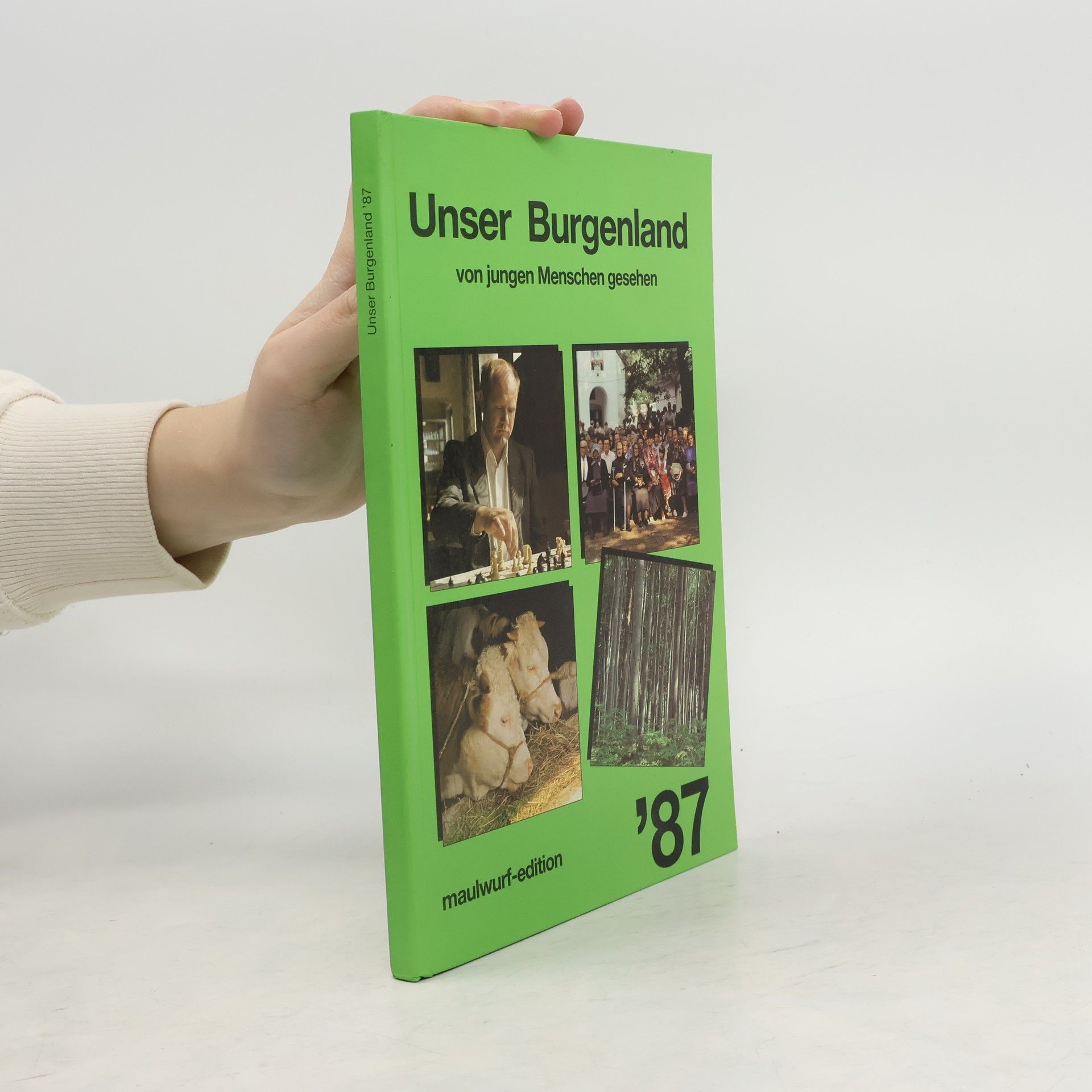 Collectif d'auteurs Unser Burgenland von jungen Menschen gesehen 87