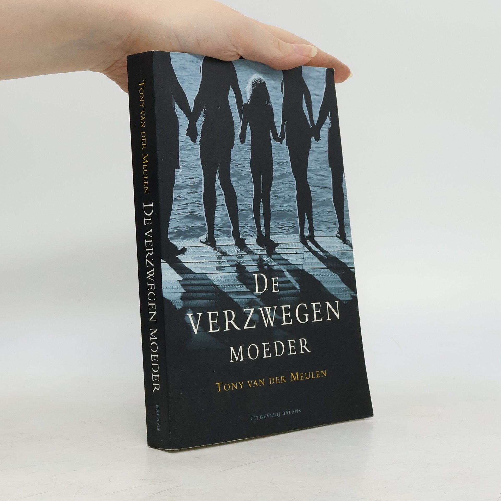 Tony van der Meulen De verzwegen moeder