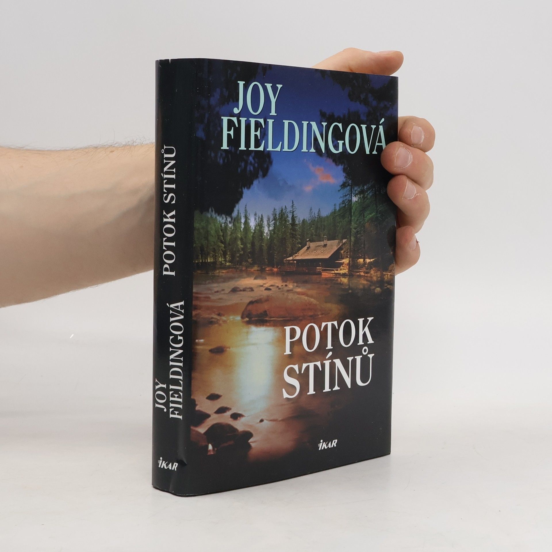 Joy Fielding Potok stínů