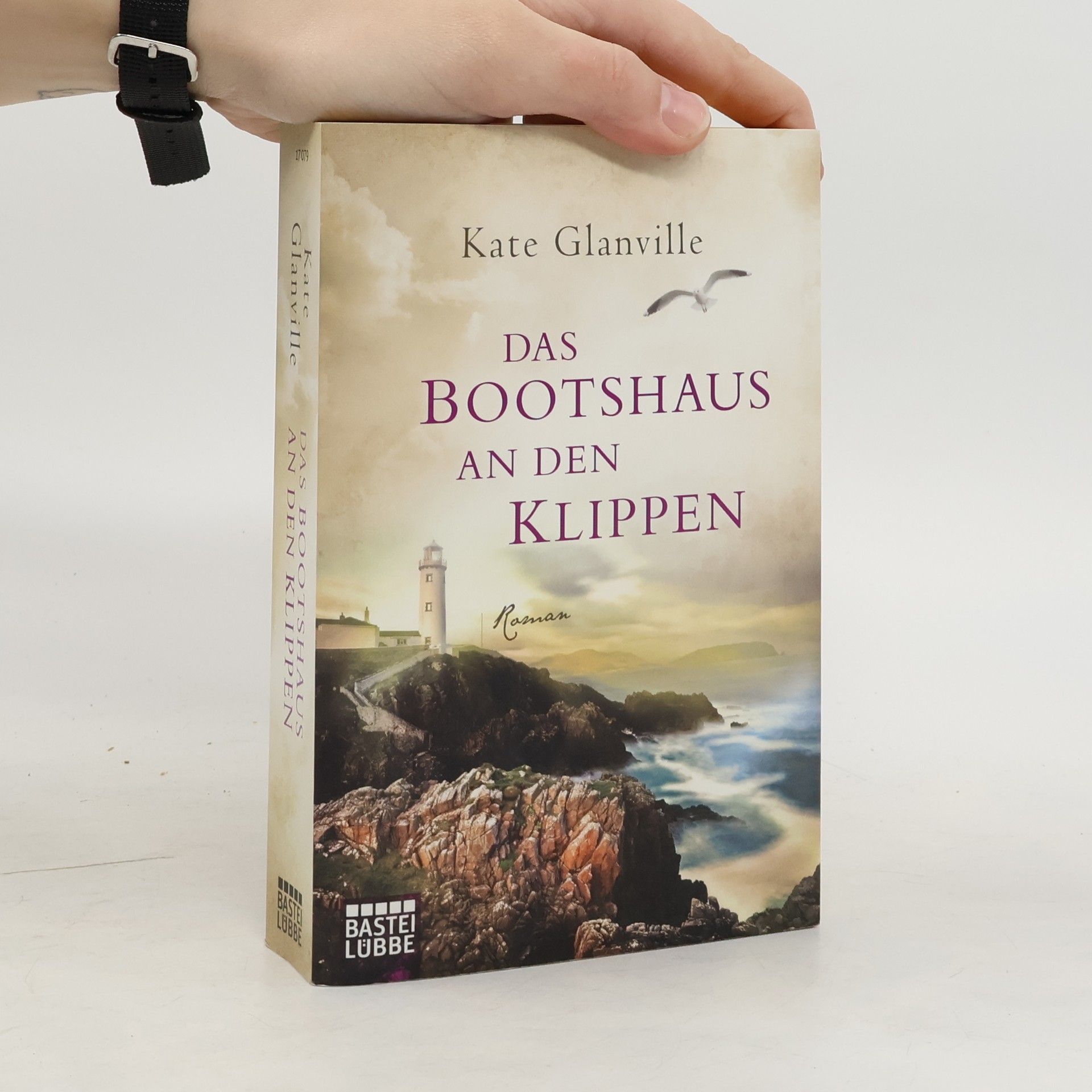 Kate Glanville Das Bootshaus an den Klippen